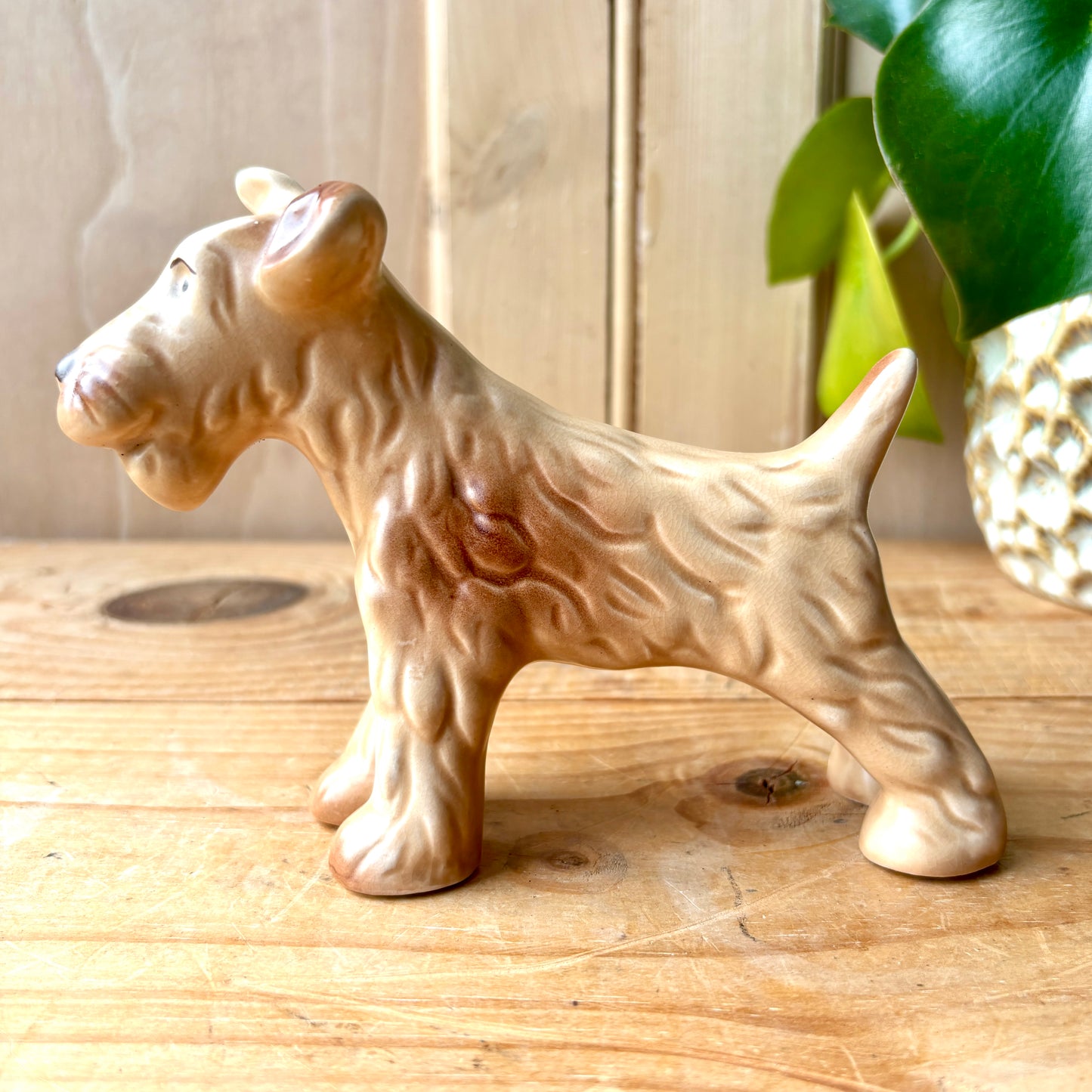 Rare vintage SylvaC standing Airedale Terrier