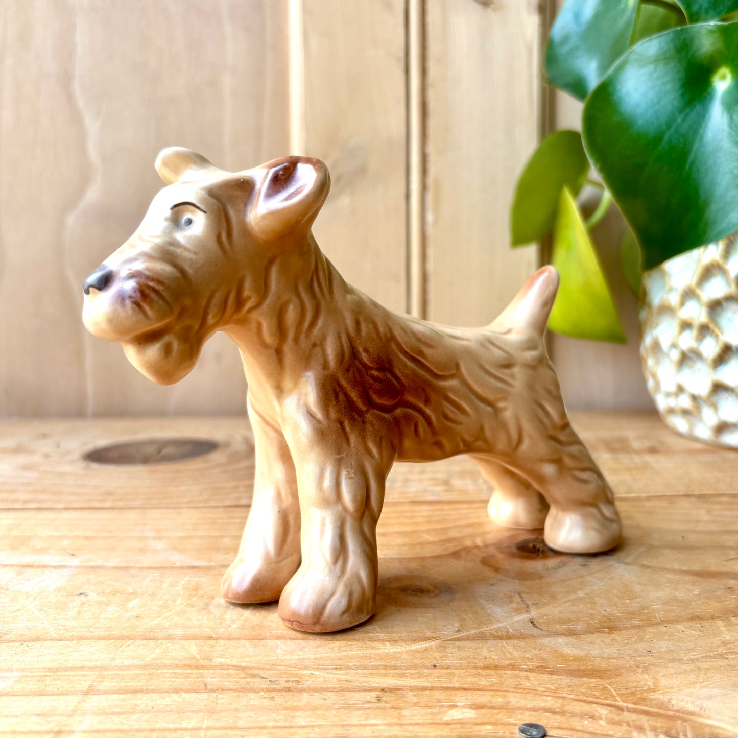 Rare vintage SylvaC standing Airedale Terrier