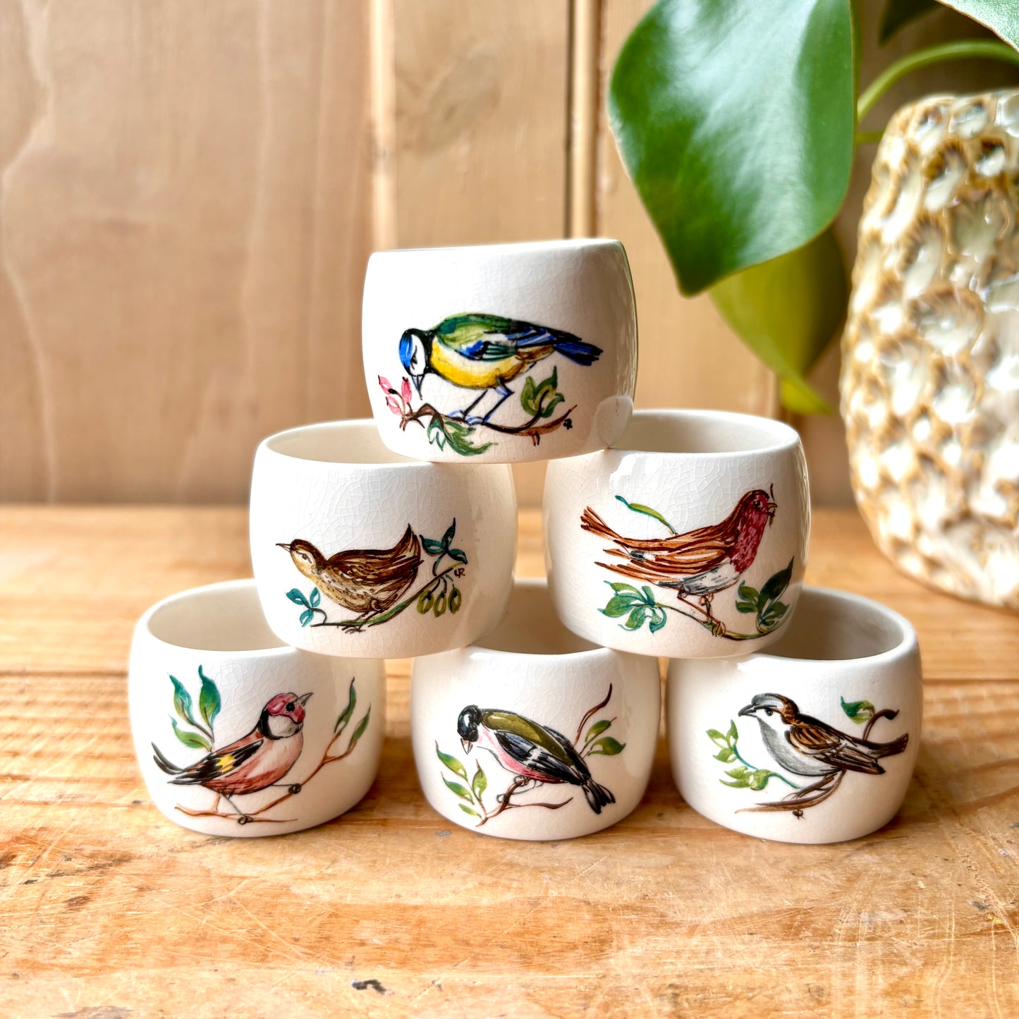 Vintage Boxed Set of Portmeirion Birds of Britian Napkin Rings