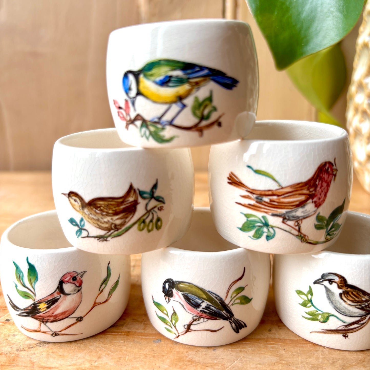 Vintage Boxed Set of Portmeirion Birds of Britian Napkin Rings