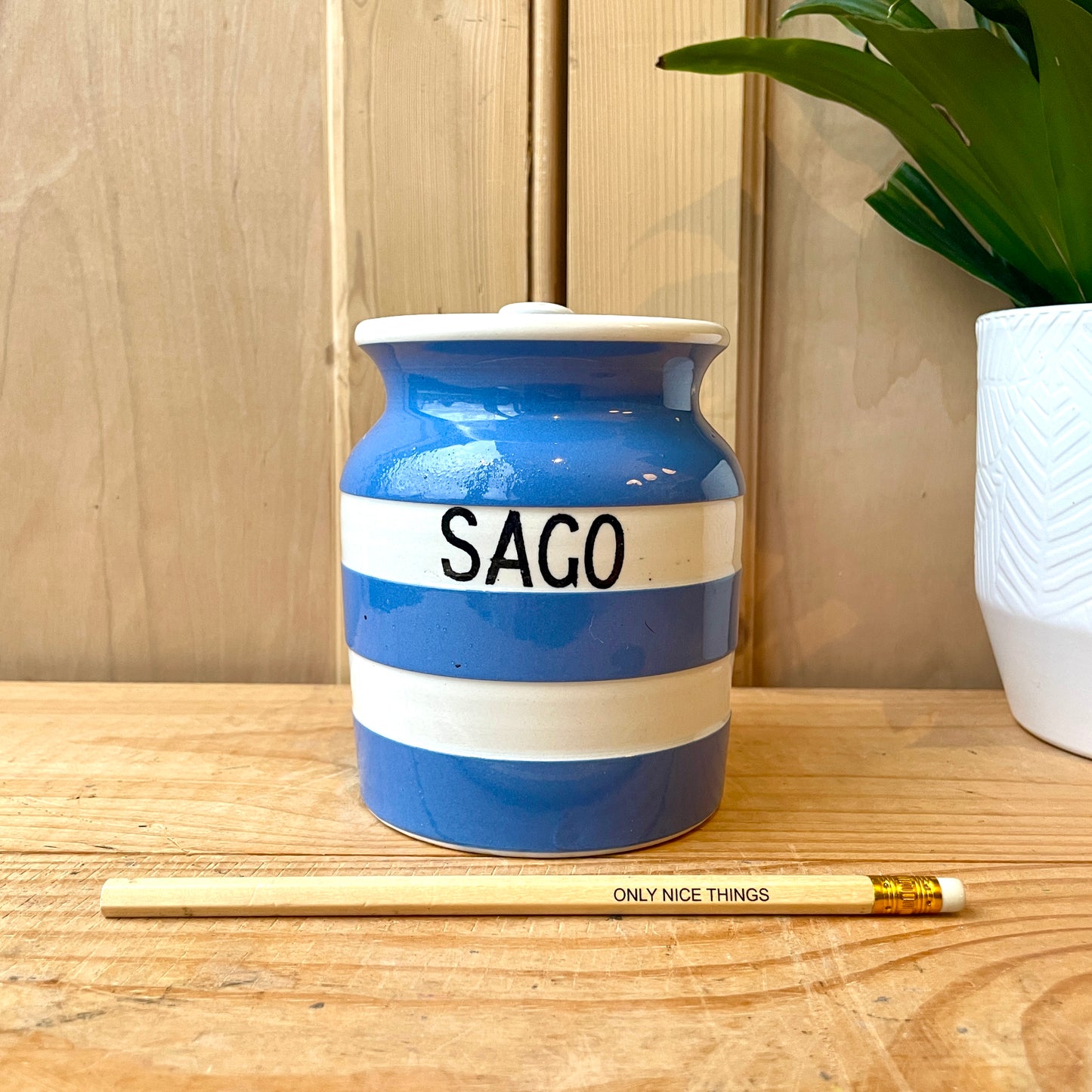 TG Green Blue and White Sago Canister