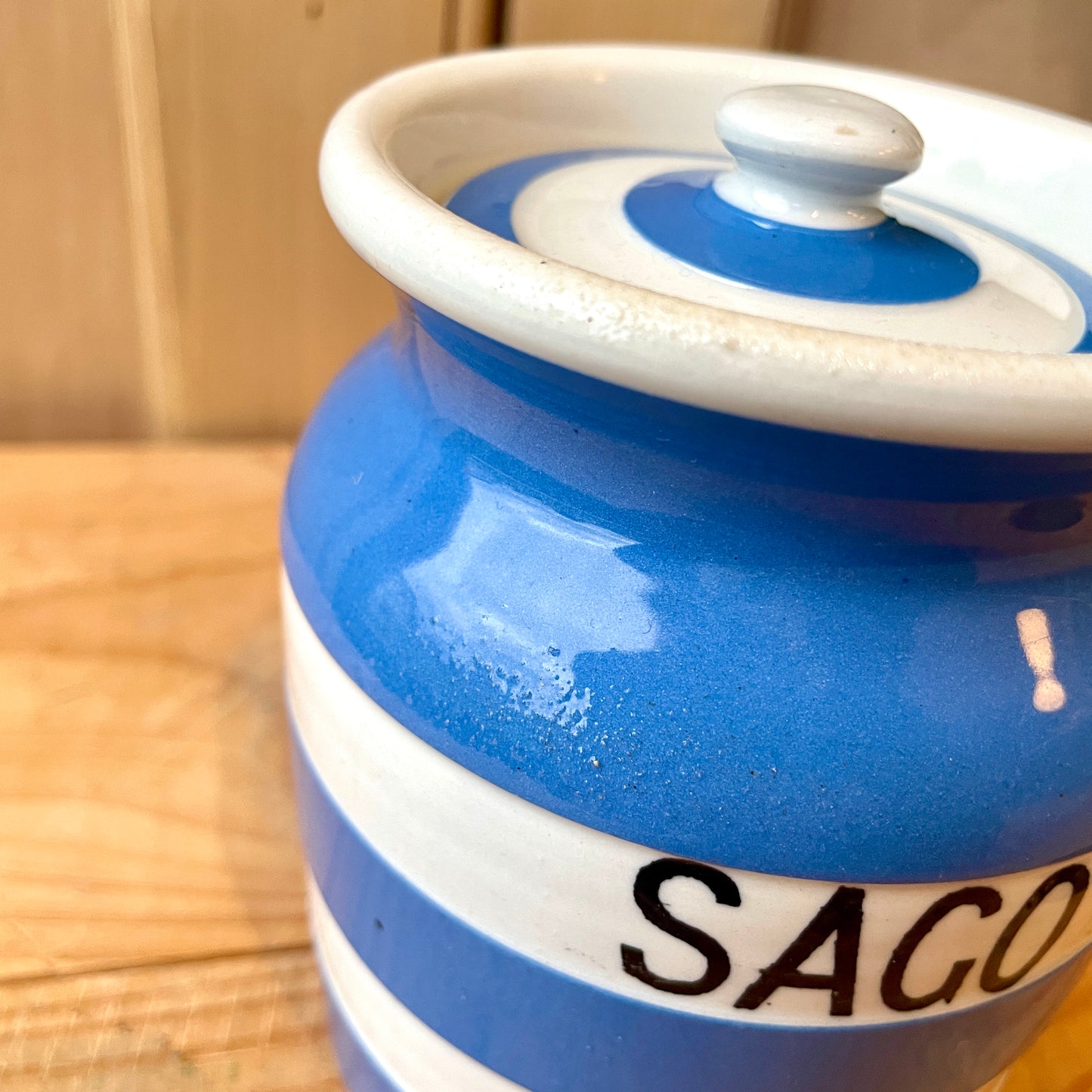 TG Green Blue and White Sago Canister