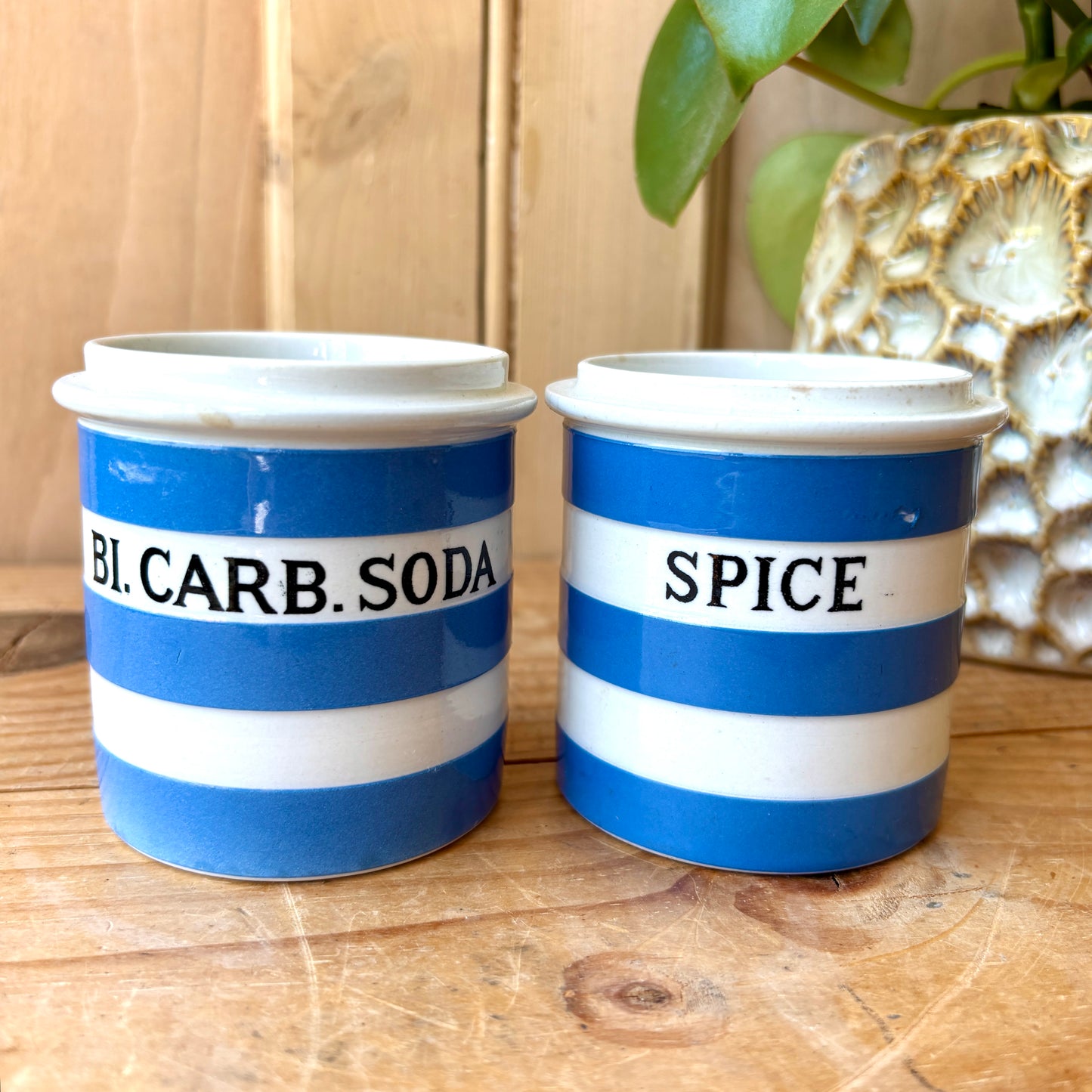 TG Green Blue and White Small Storage Jars