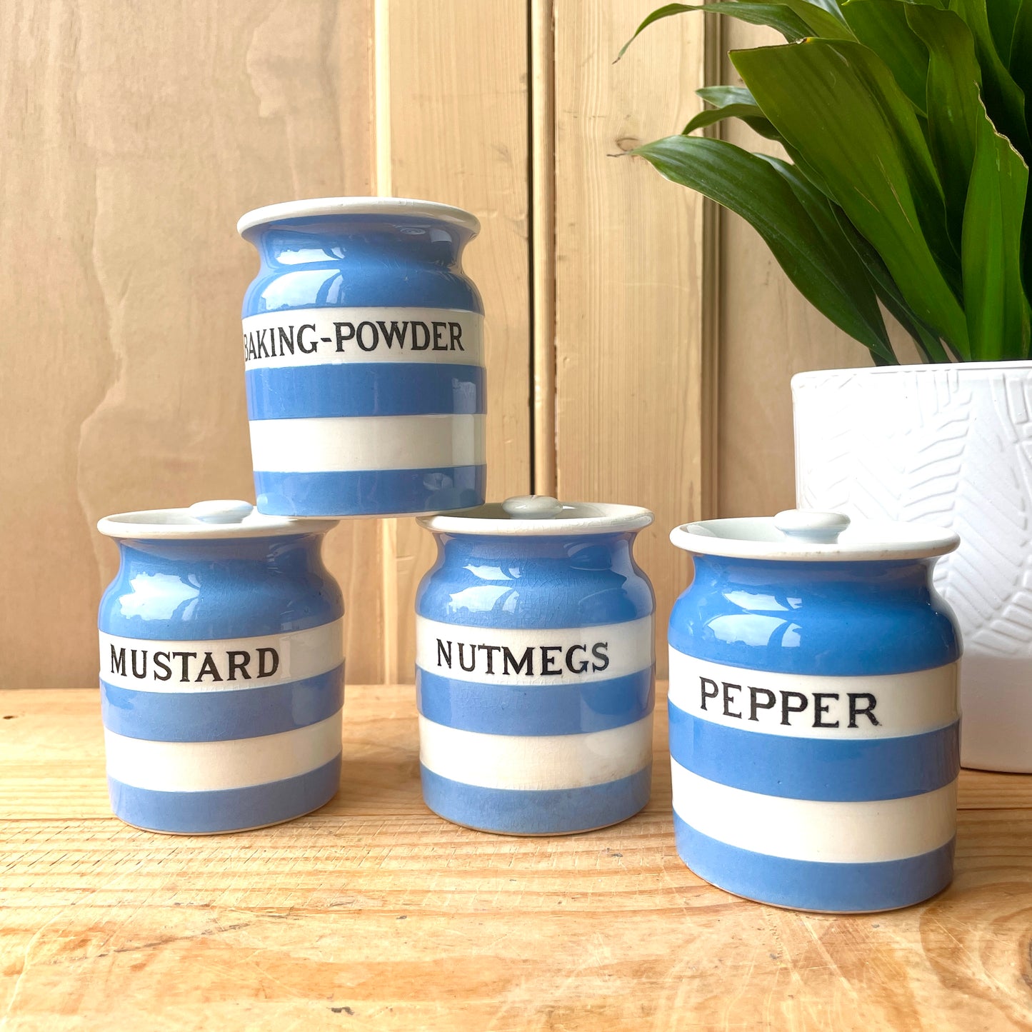 TG Green Blue and White Small Canister