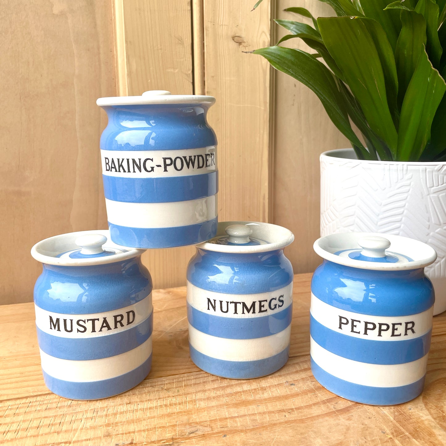 TG Green Blue and White Small Canister