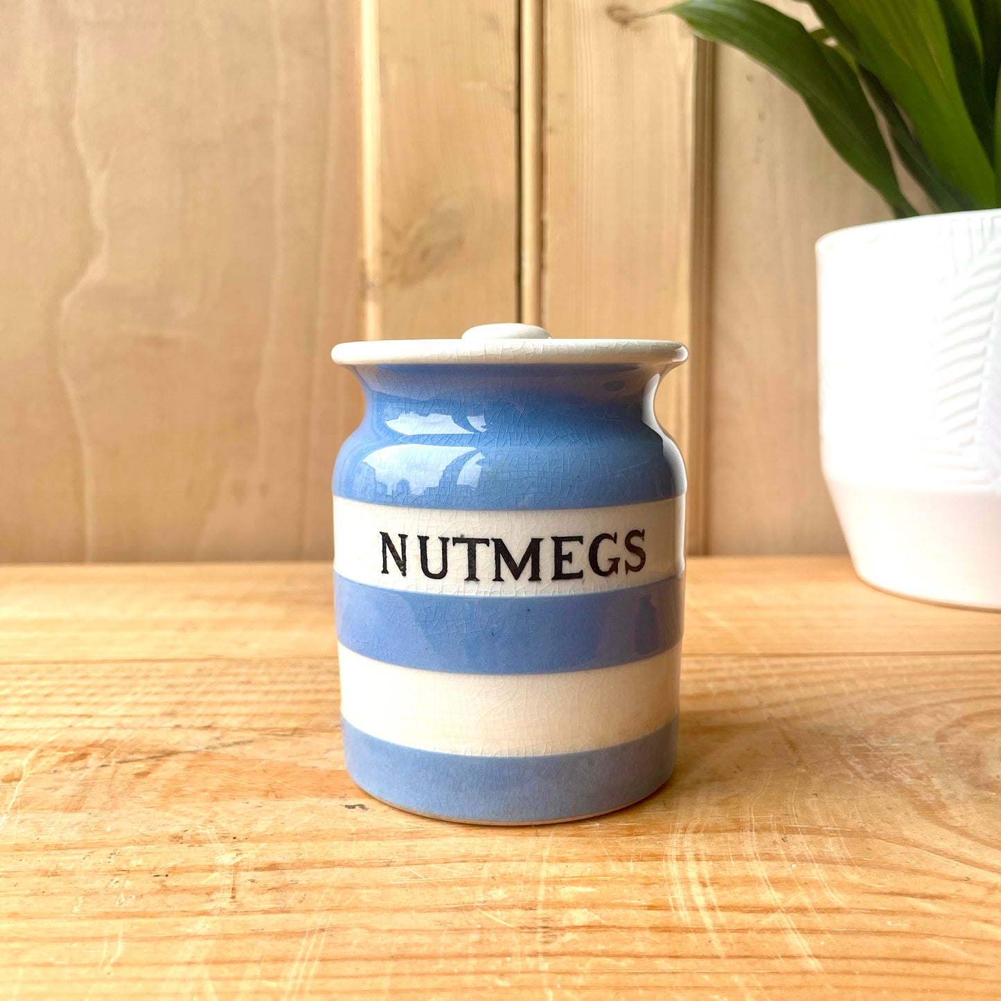 TG Green Blue and White Small Canister