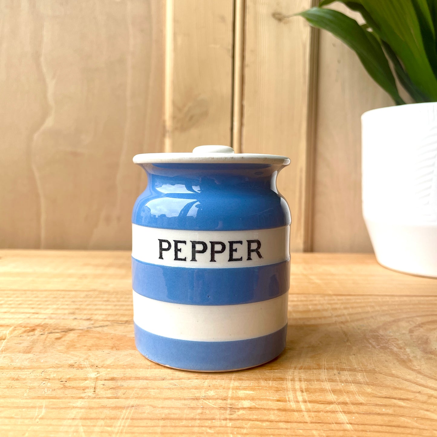 TG Green Blue and White Small Canister