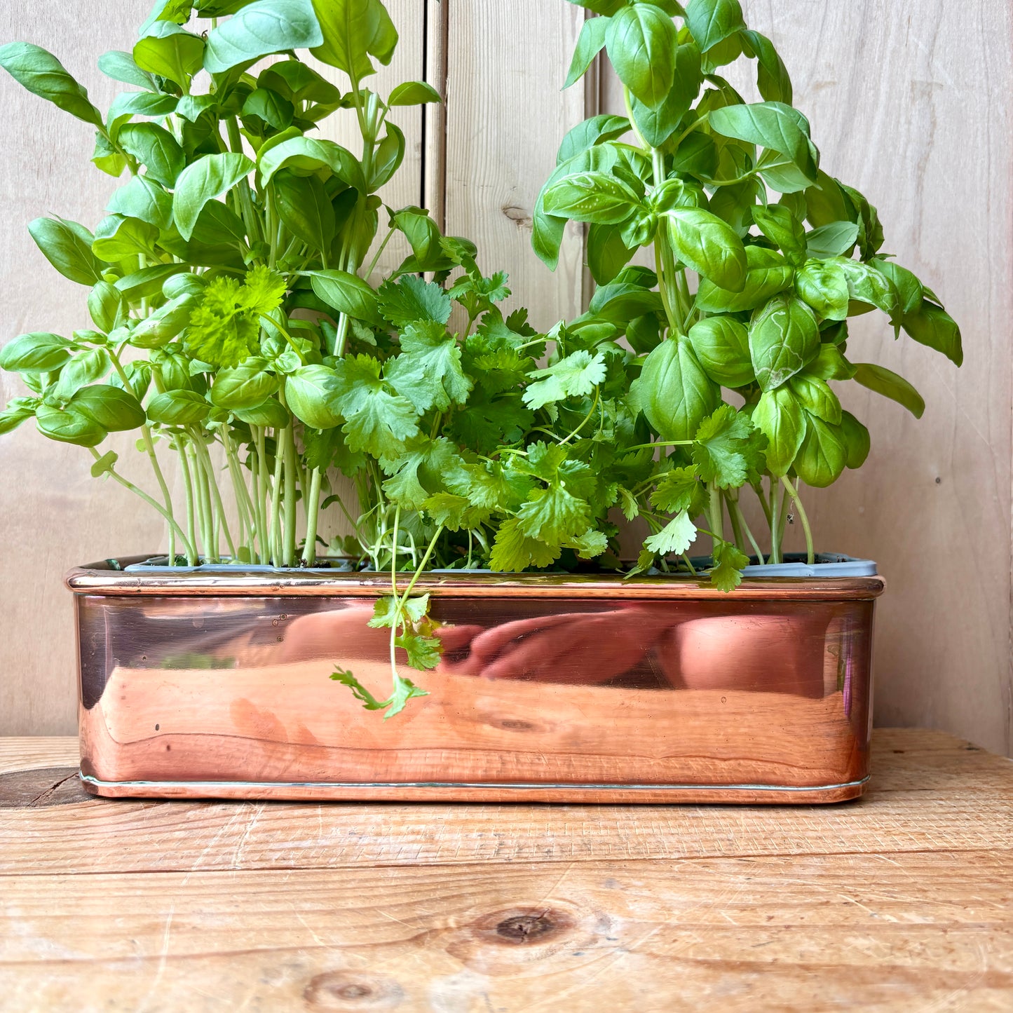 Vintage Small Copper trough
