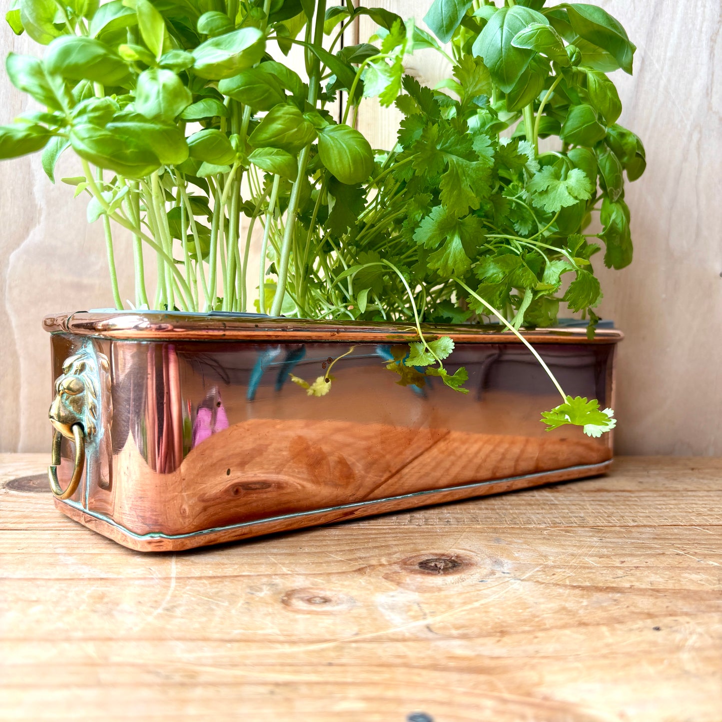 Vintage Small Copper trough