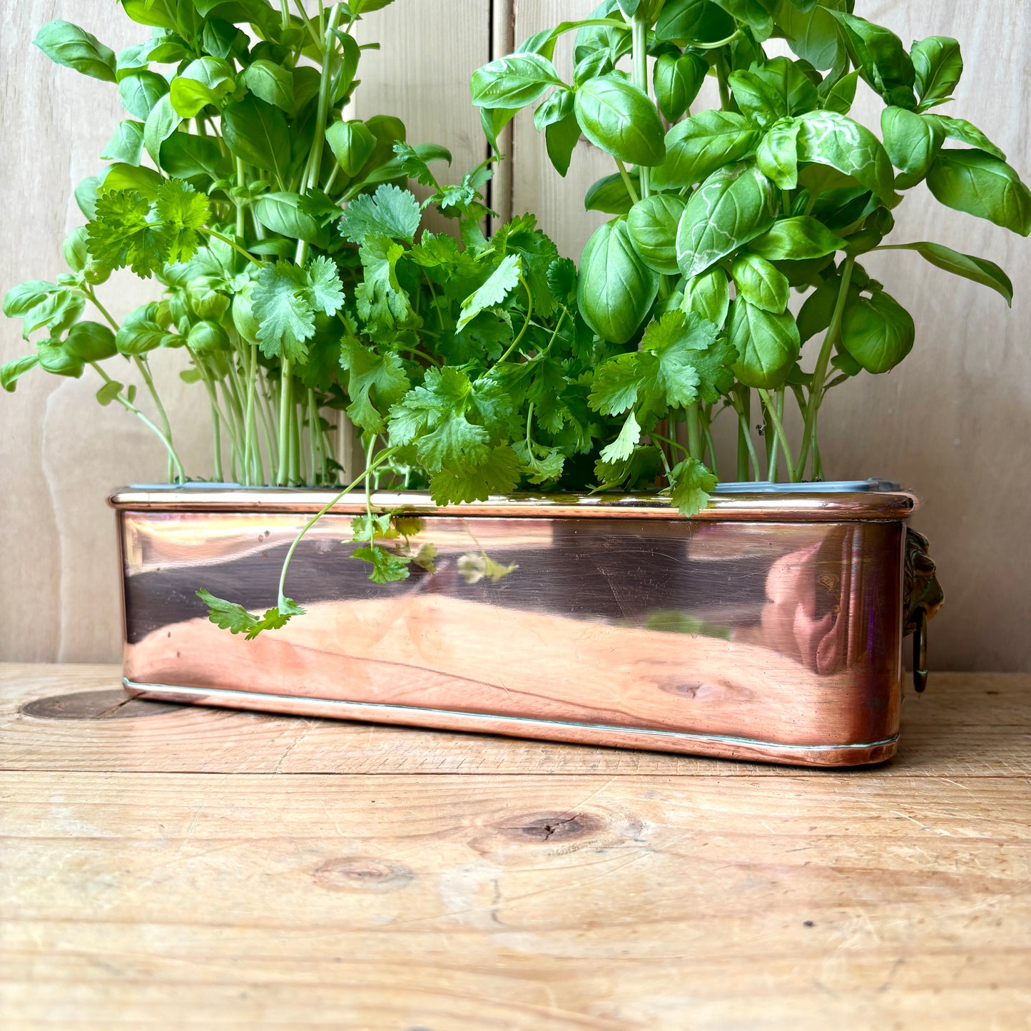 Vintage Small Copper trough
