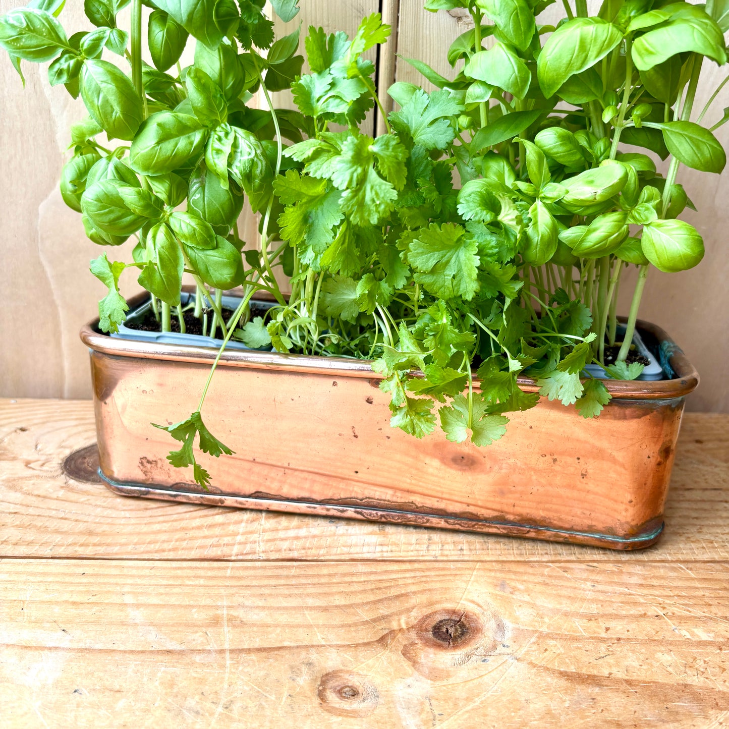 Vintage Small Copper trough