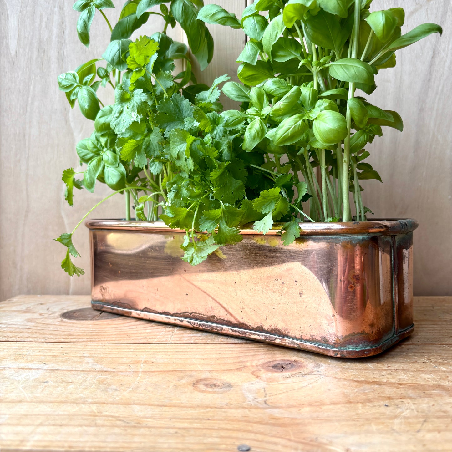 Vintage Small Copper trough