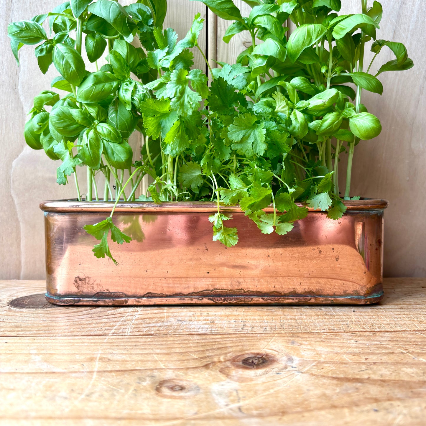 Vintage Small Copper trough