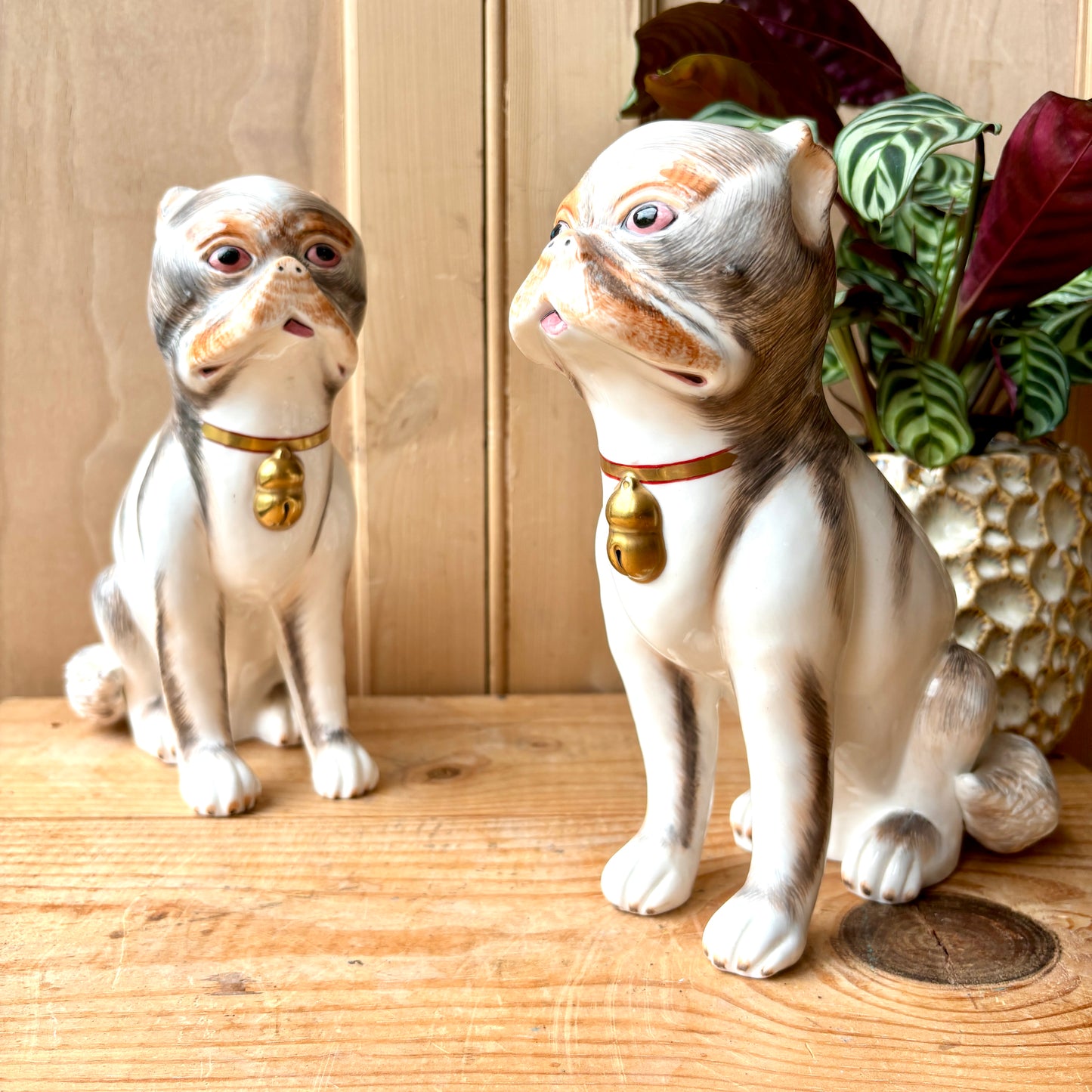 Vintage Sutherland Bone China Mantle Pugs