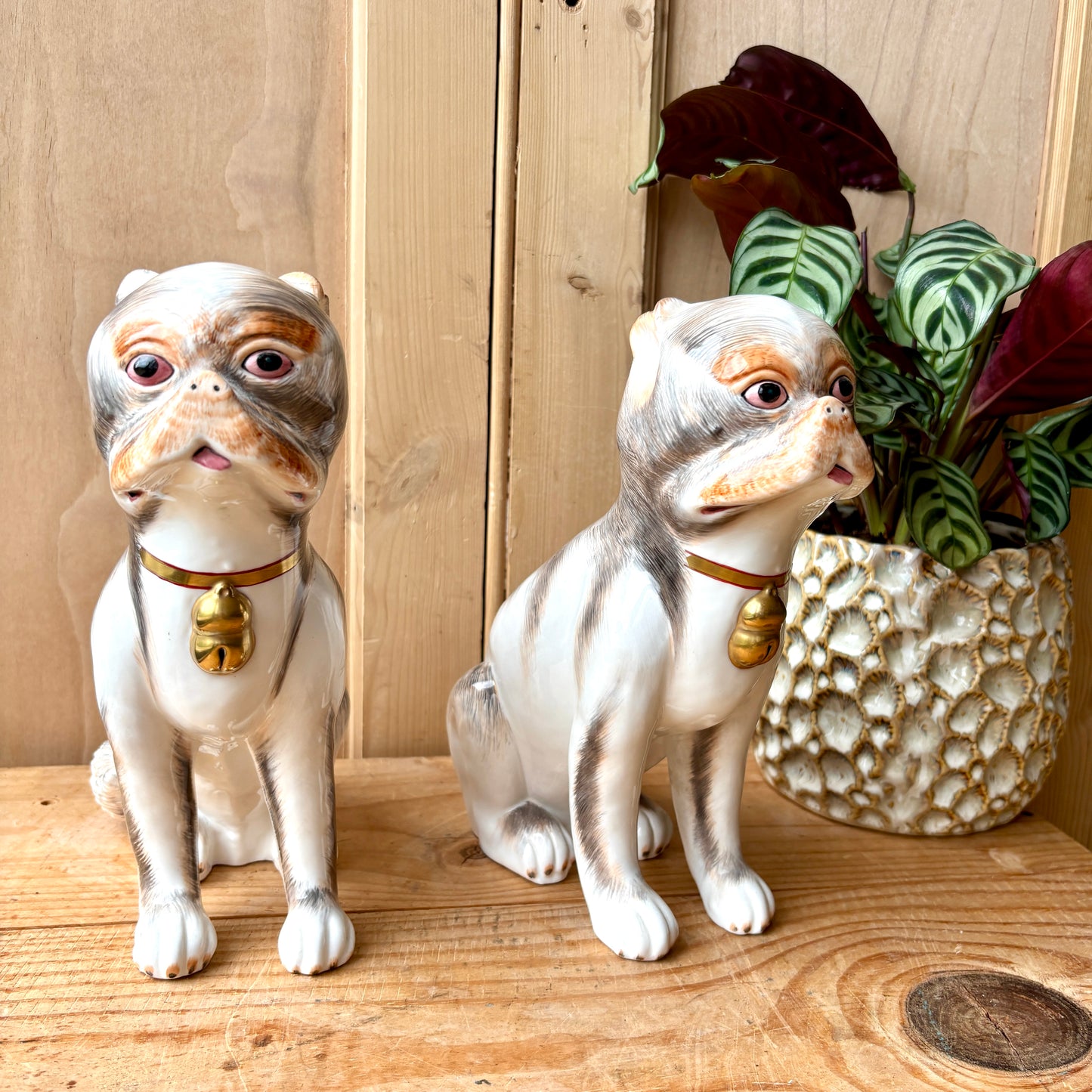 Vintage Sutherland Bone China Mantle Pugs