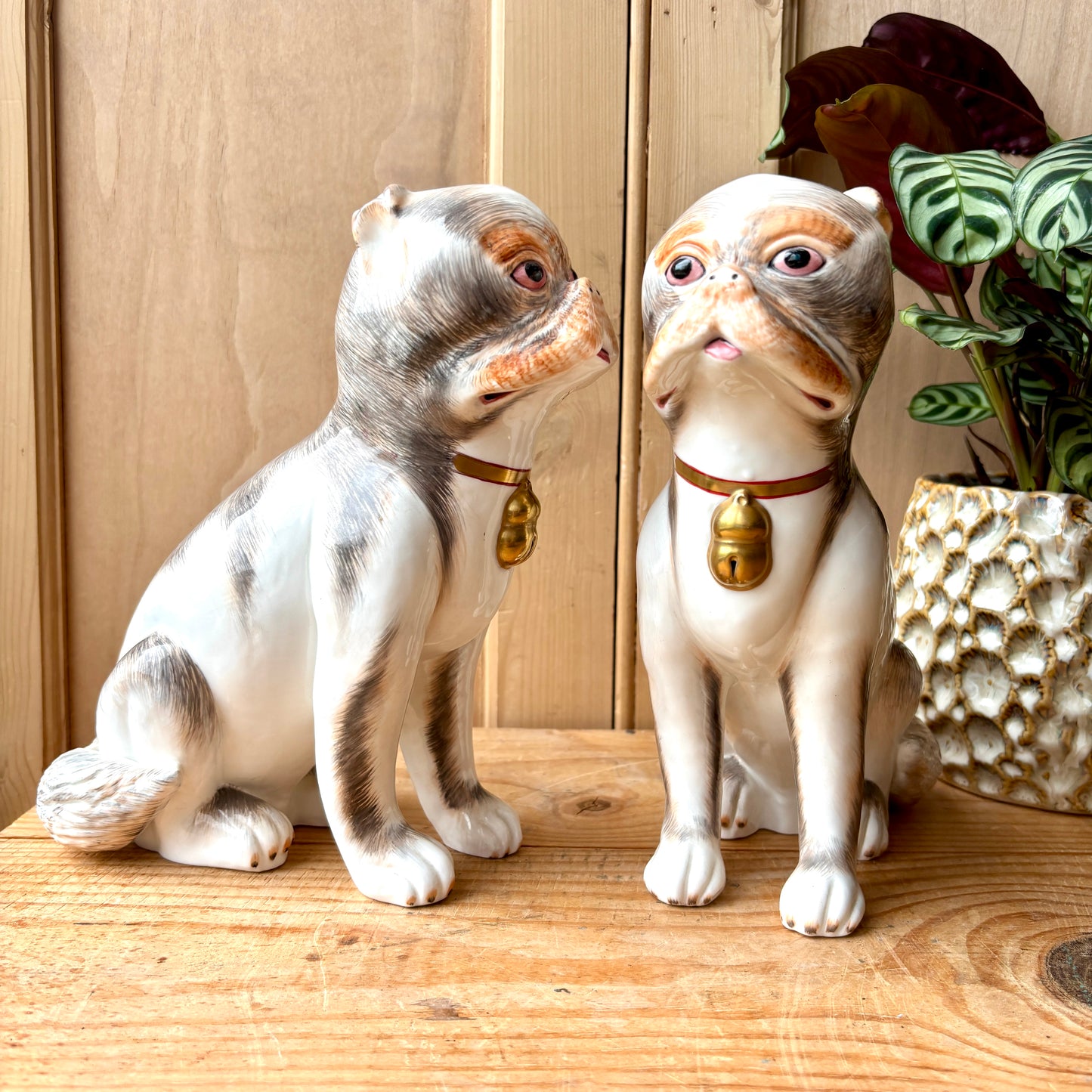 Vintage Sutherland Bone China Mantle Pugs