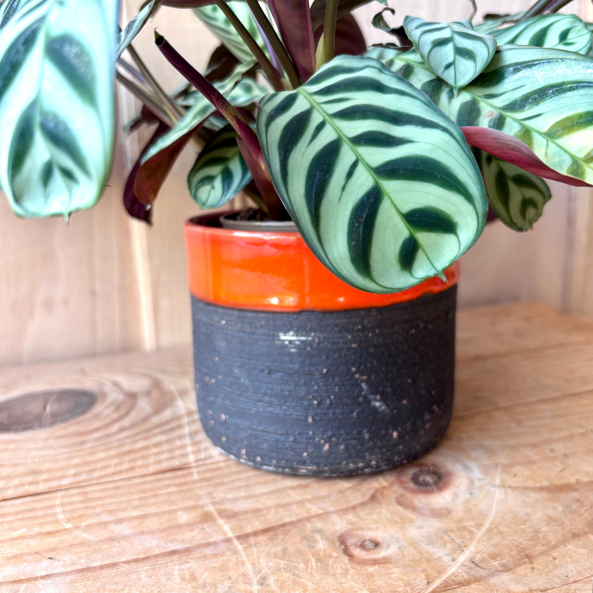 West German Veinberg Keramik Plant pot