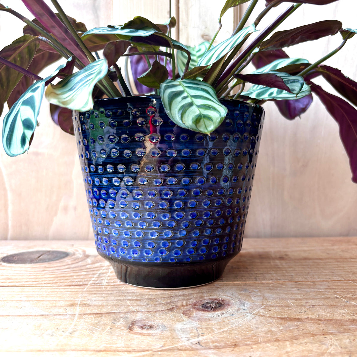 West German Dumler & Breiden Keramik Plant pot