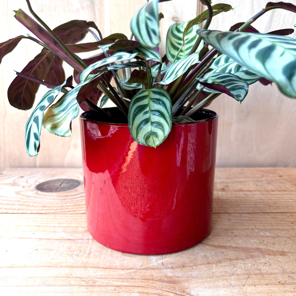 West German Dumler & Breiden Keramik Plant pot