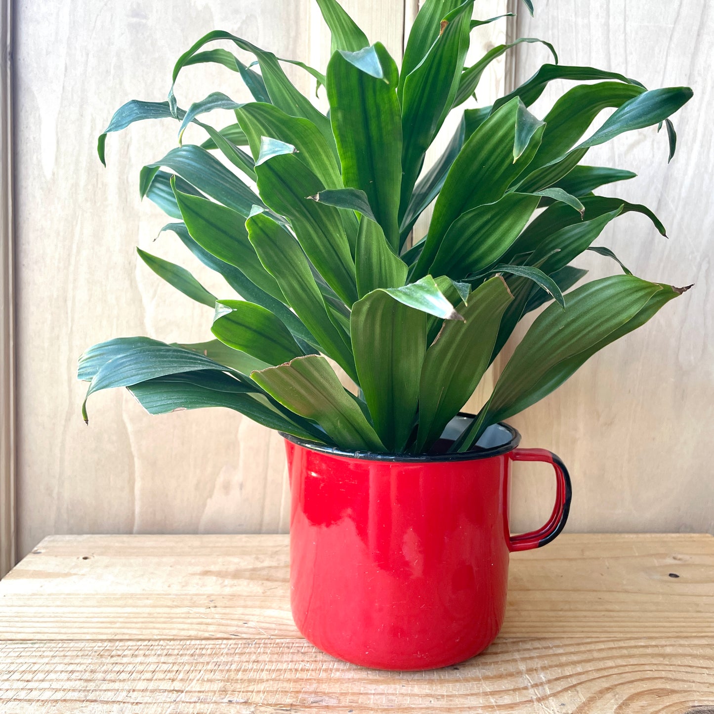 Vintage Bright Red Enamel Milk Jug