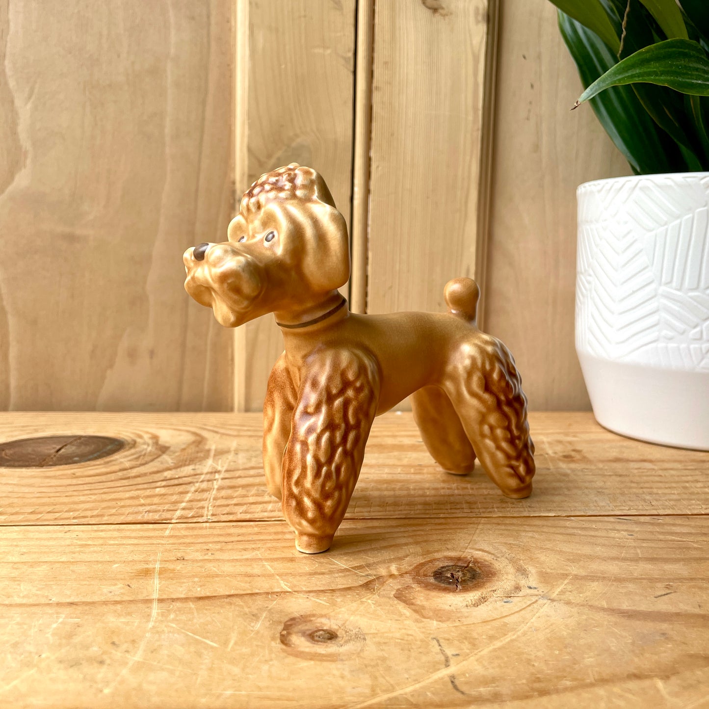 SylvaC Poodle model 3110