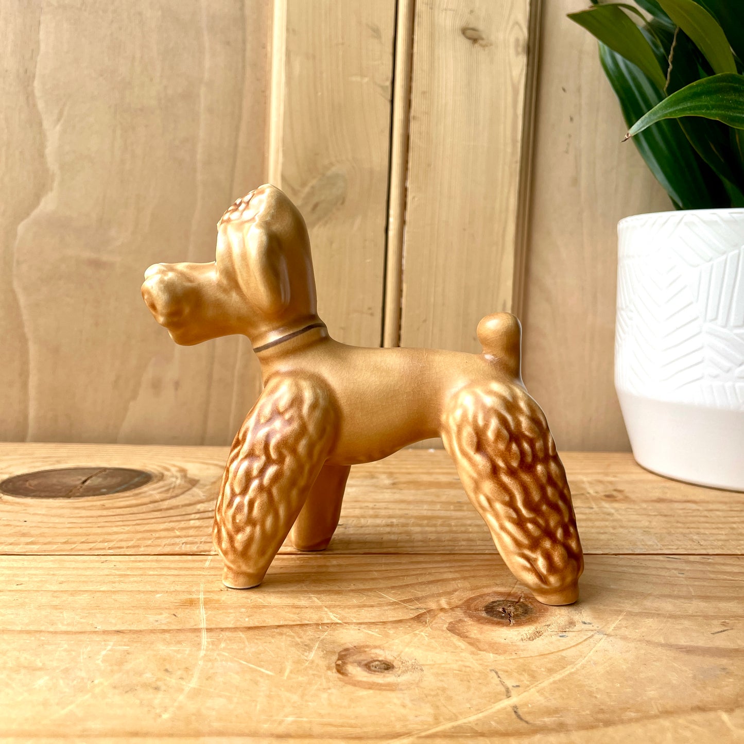 SylvaC Poodle model 3110