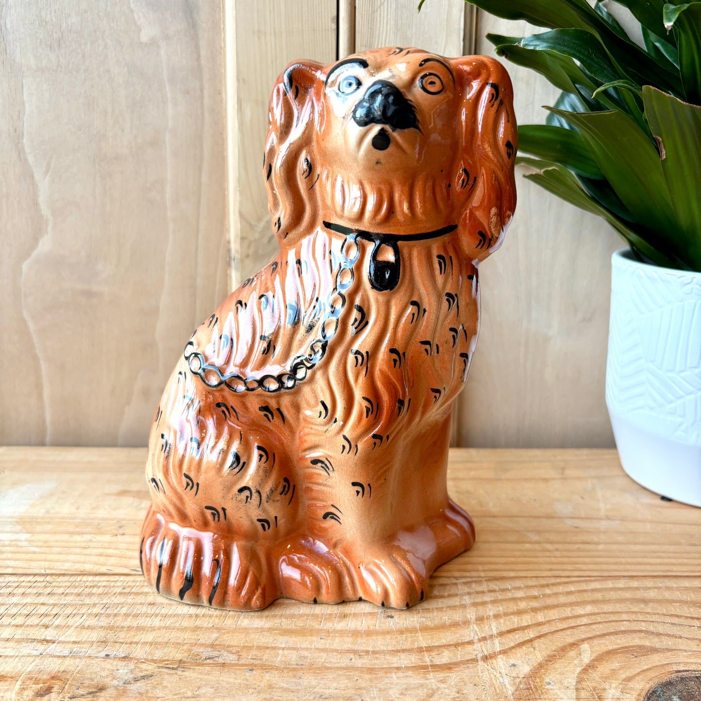 Staffordshire Flat Back Dog
