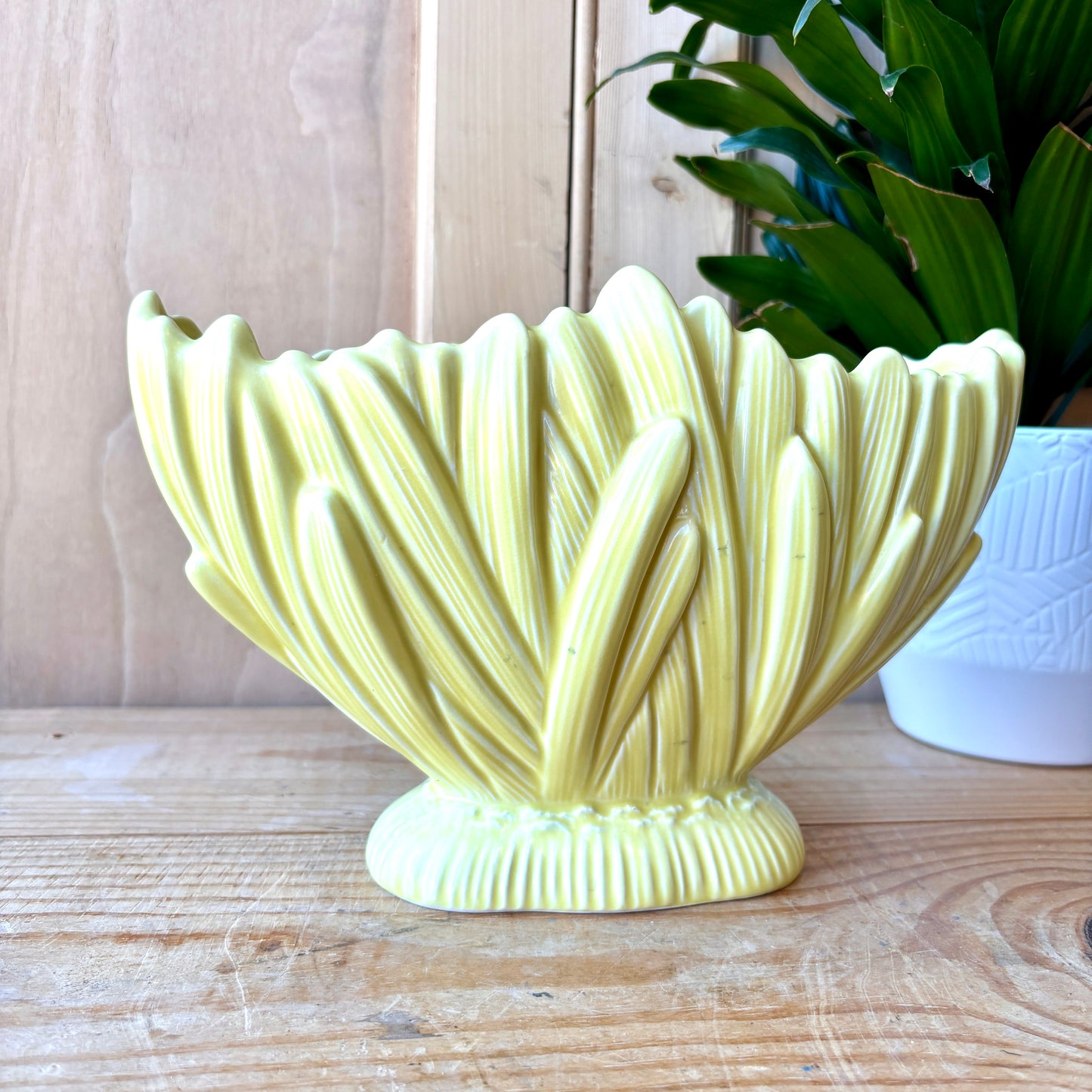 SylvaC Hyacinth mantle planter