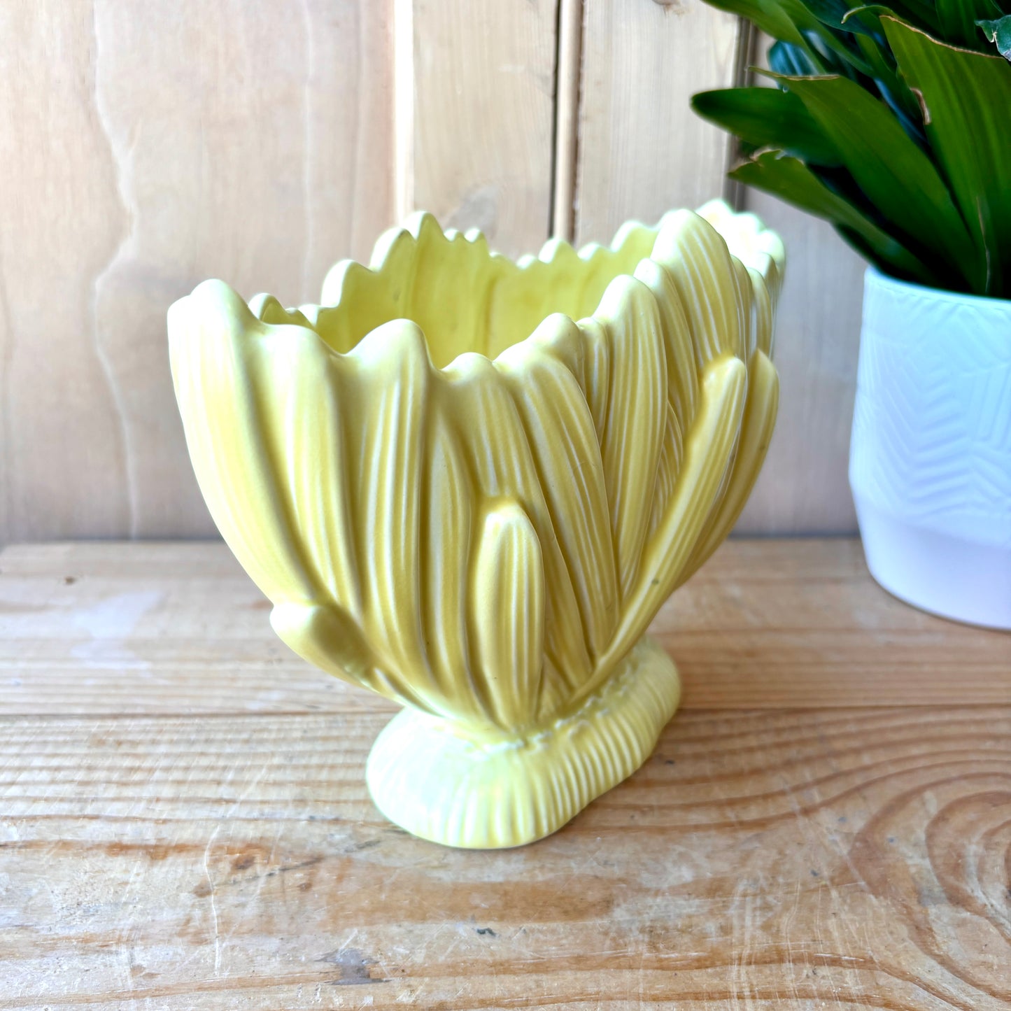 SylvaC Hyacinth mantle planter
