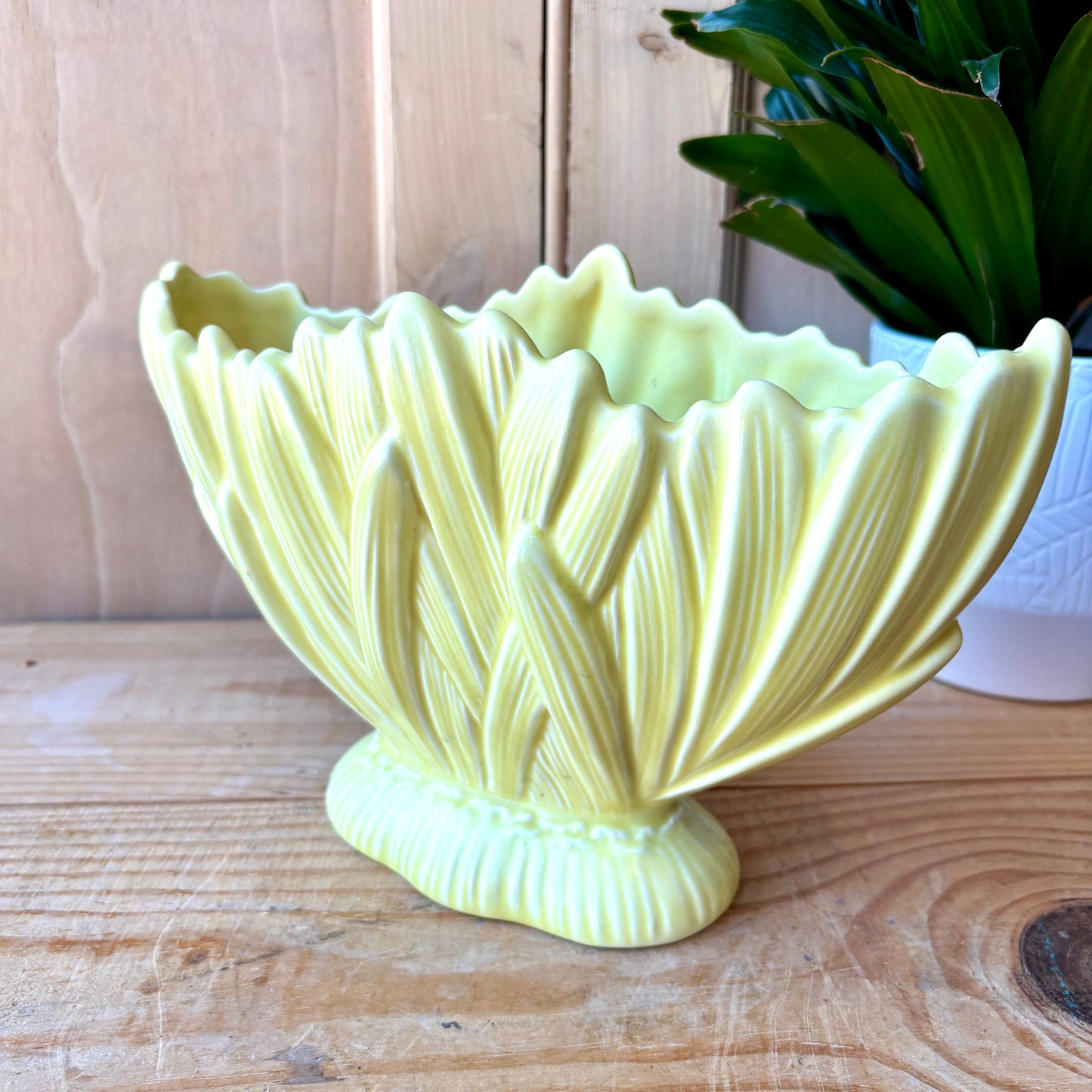 SylvaC Hyacinth mantle planter