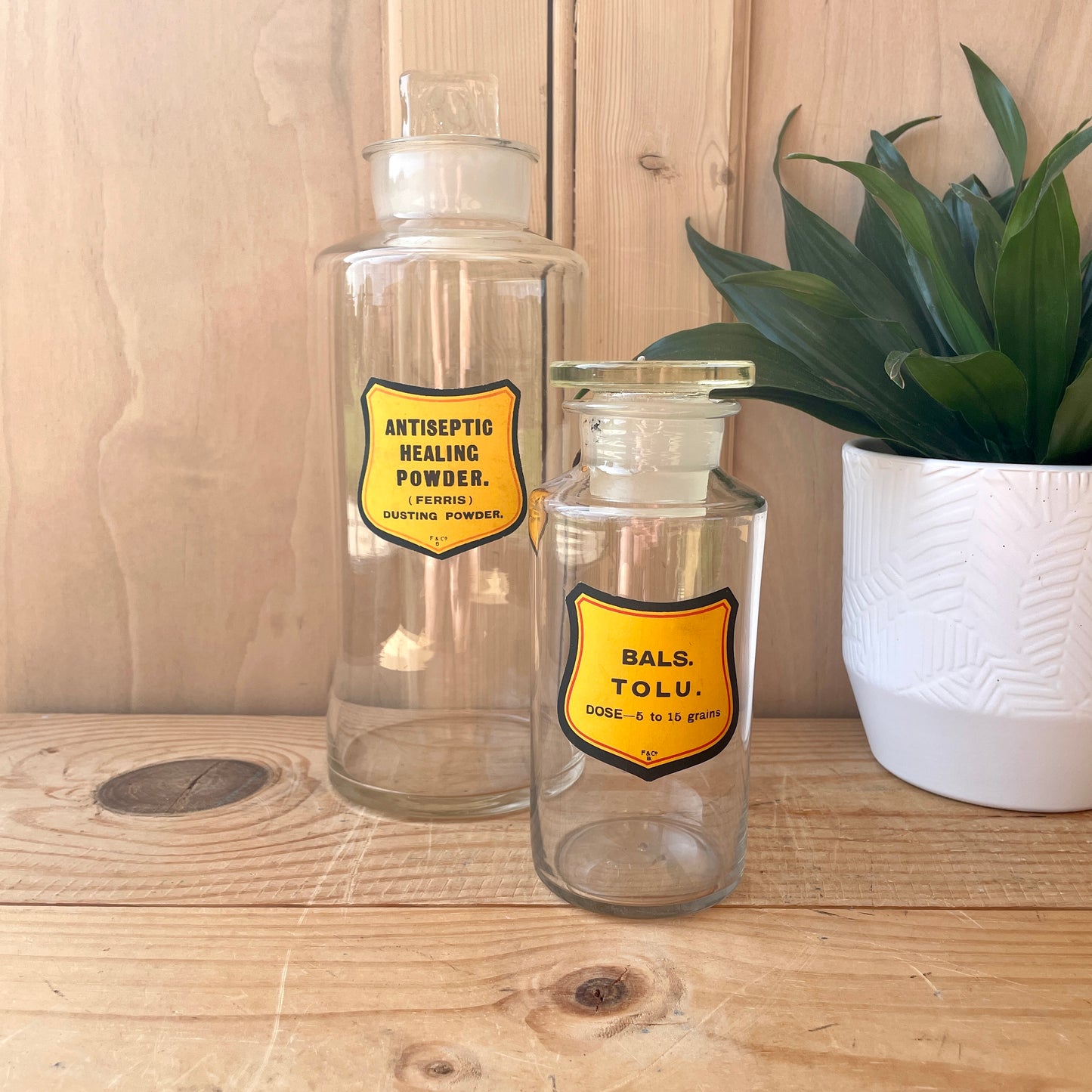 Pair of Large Chemist Bottles