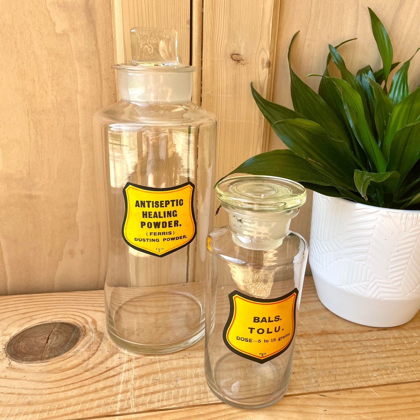 Pair of Large Chemist Bottles
