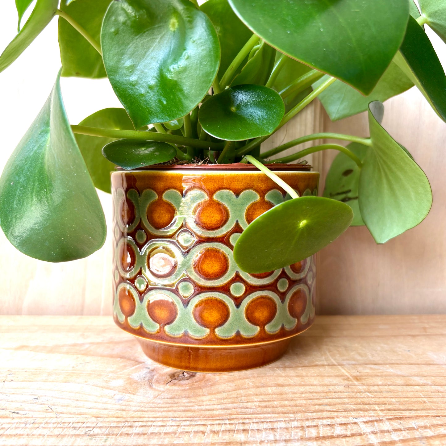 Rare Large Hornsea Fish Eye plant pot designed by John Clappison