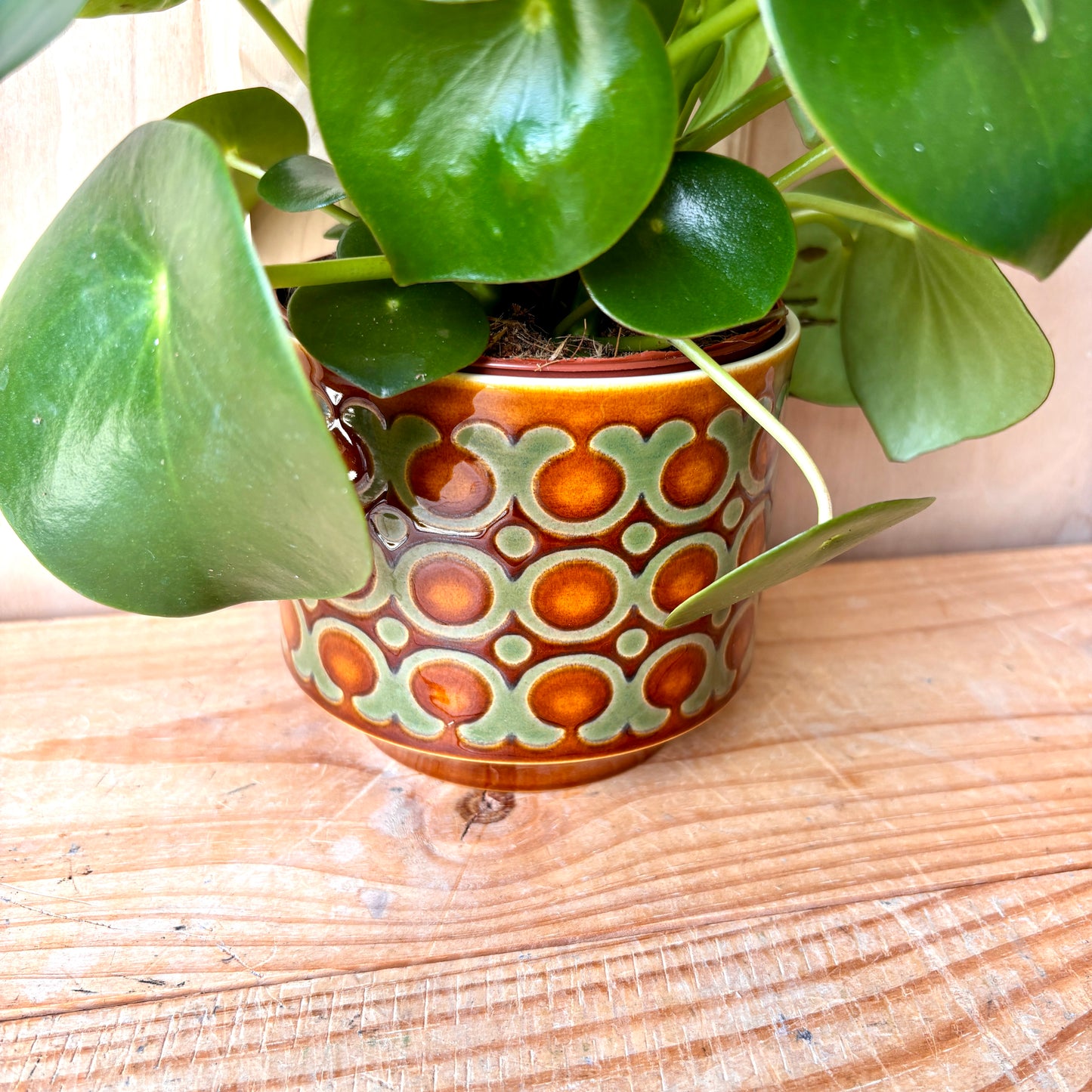 Rare Large Hornsea Fish Eye plant pot designed by John Clappison