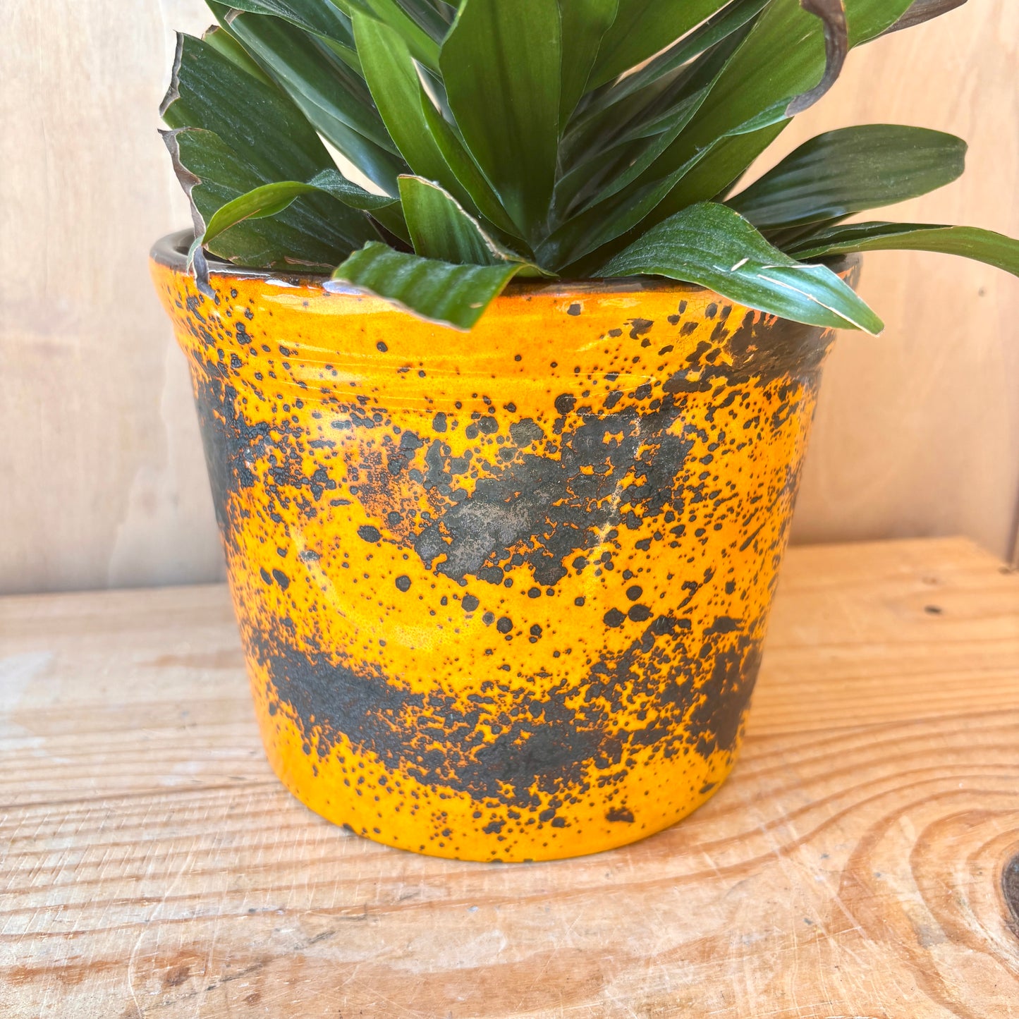 Rare Large West German U-Keramik Plant pot