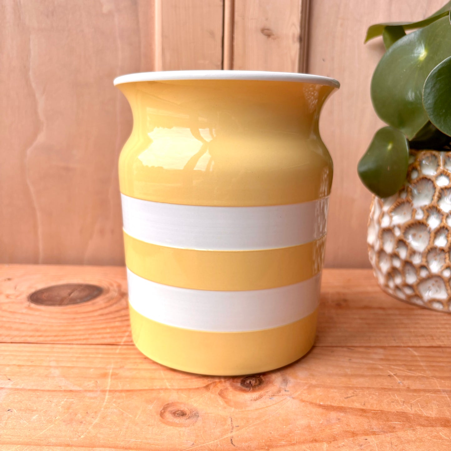 Vintage Large TG Green Yellow and White Canister