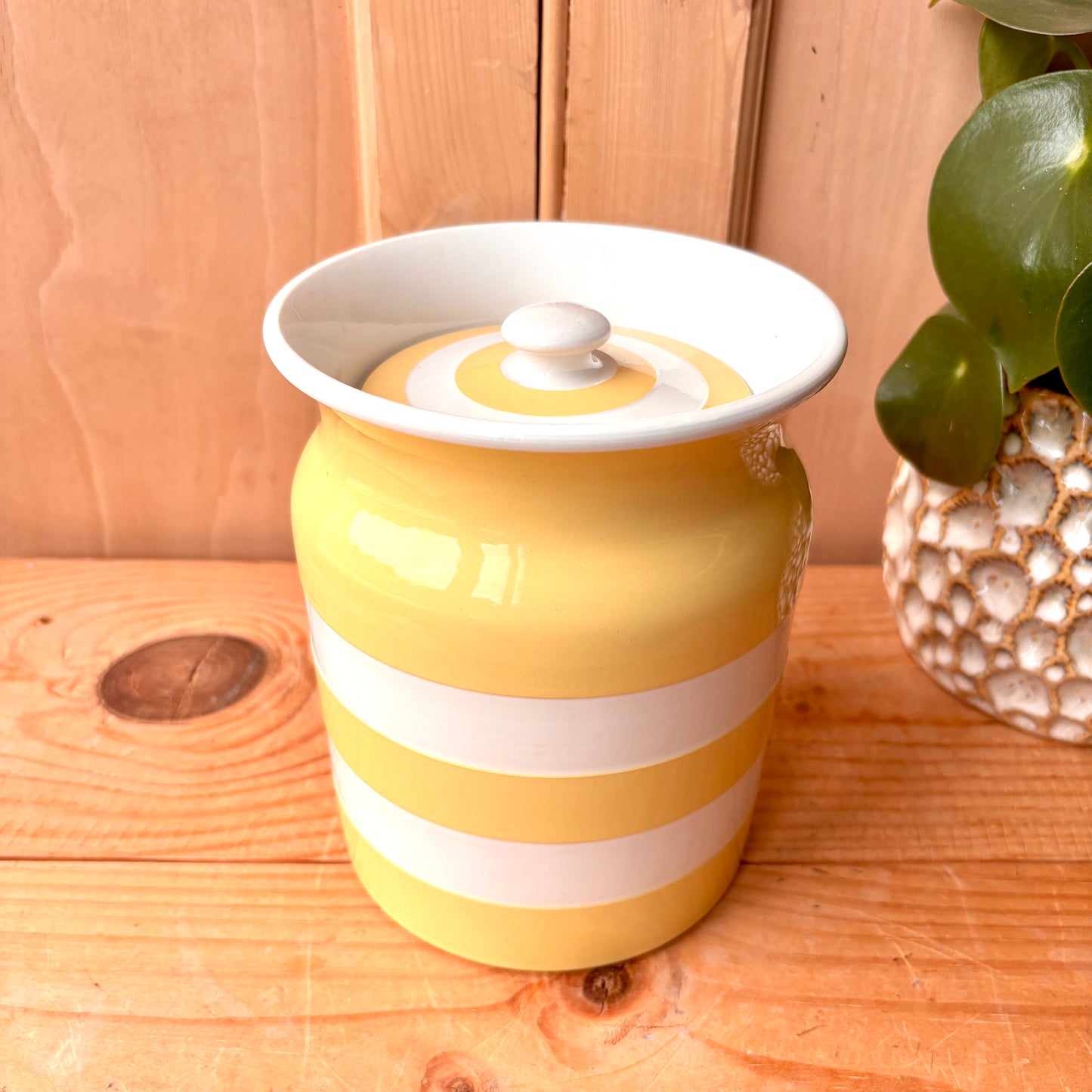 Vintage Large TG Green Yellow and White Canister