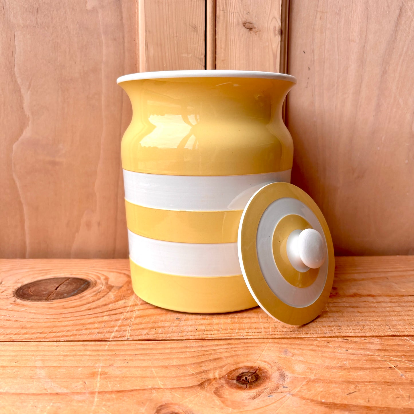 Vintage Large TG Green Yellow and White Canister