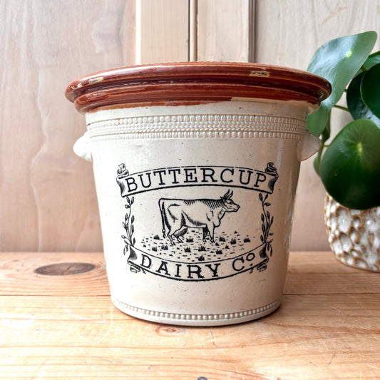Antique Large Buttercup Dairy Co 5lb Stoneware Butter Crock