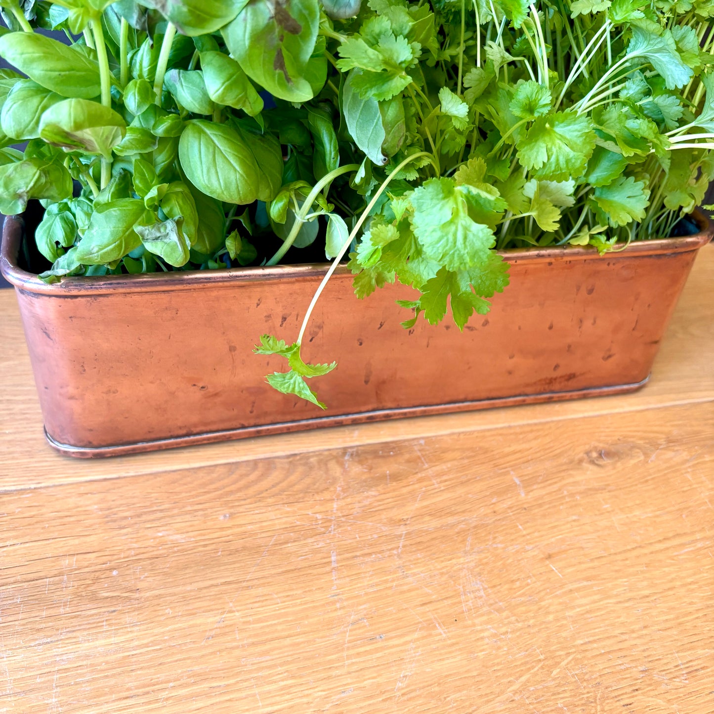 Vintage Copper trough