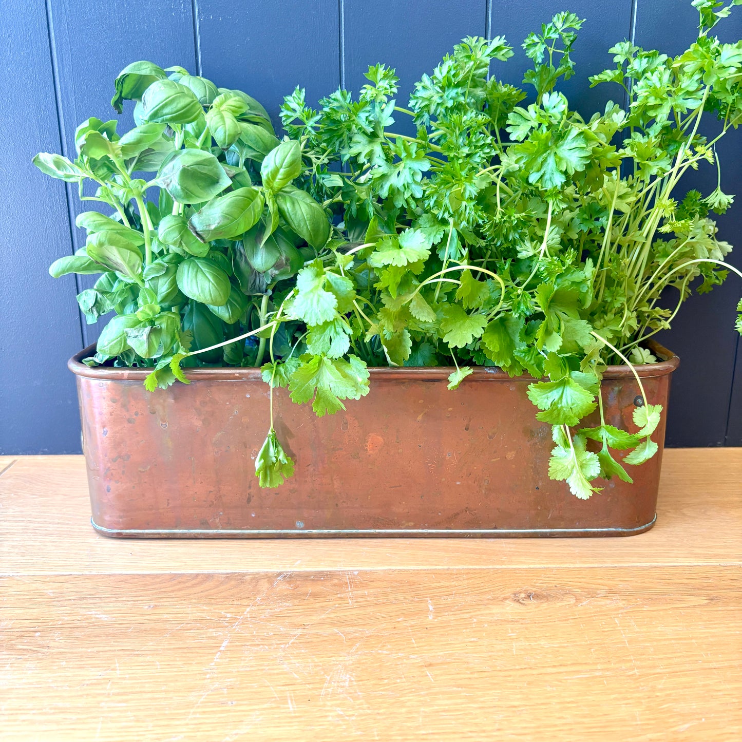 Vintage Copper trough (Copy)