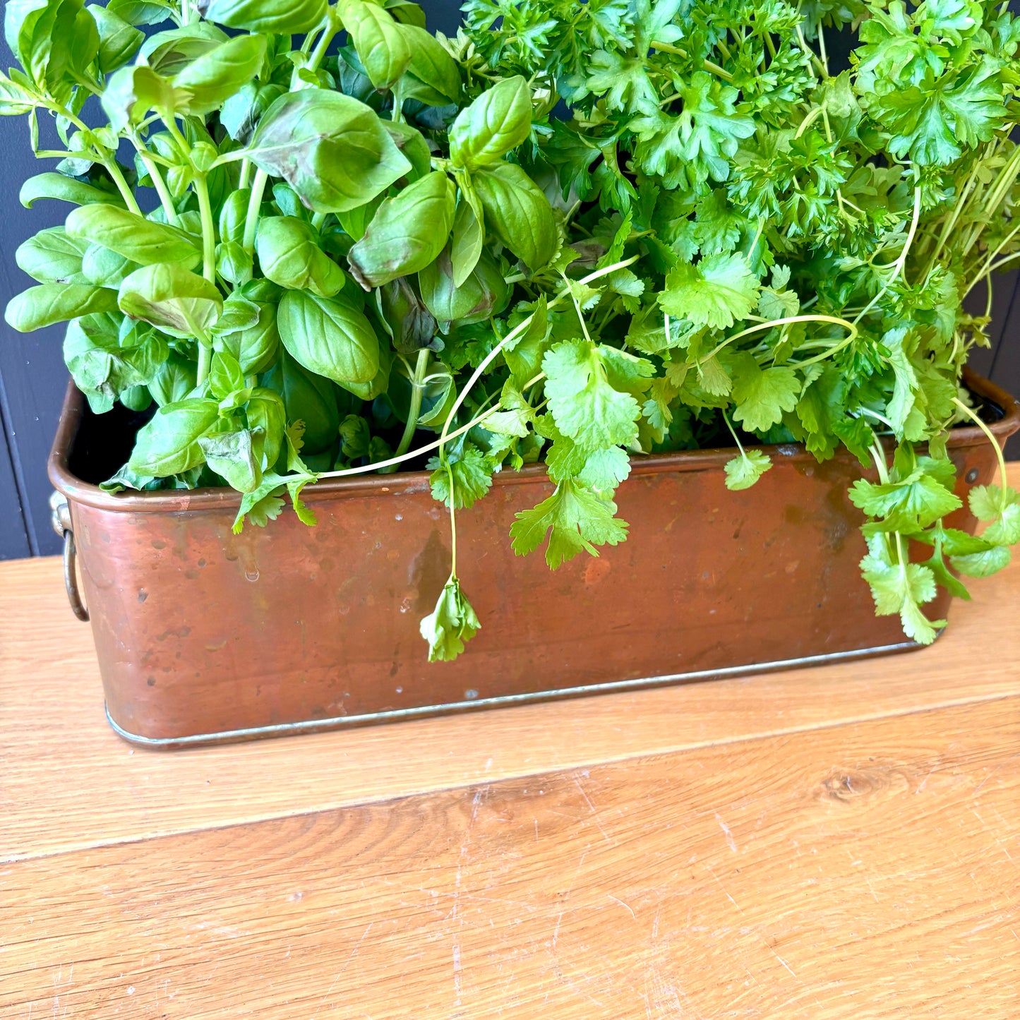 Vintage Copper trough (Copy)