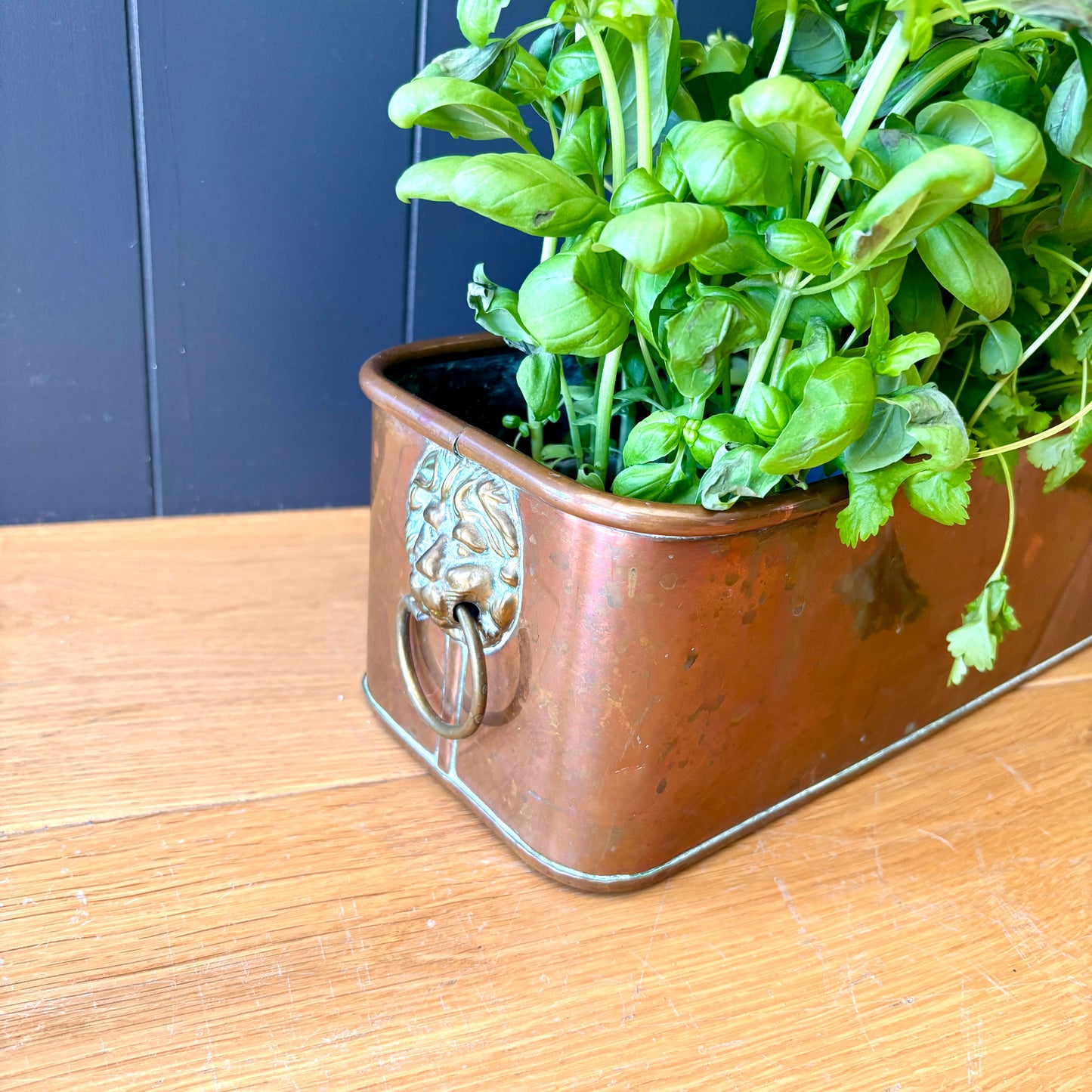 Vintage Copper trough (Copy)