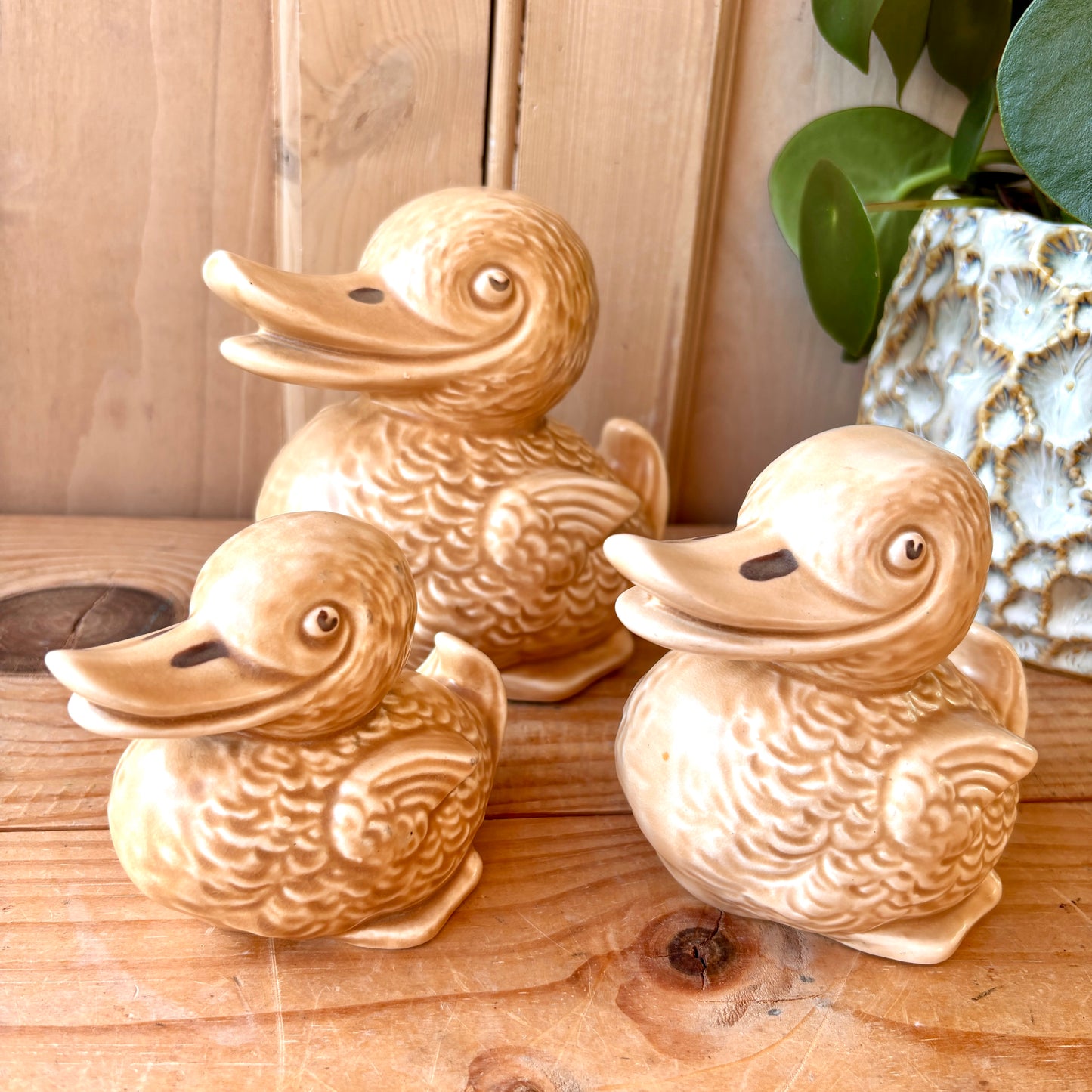 Rare Vintage SylvaC Trio of Ducks