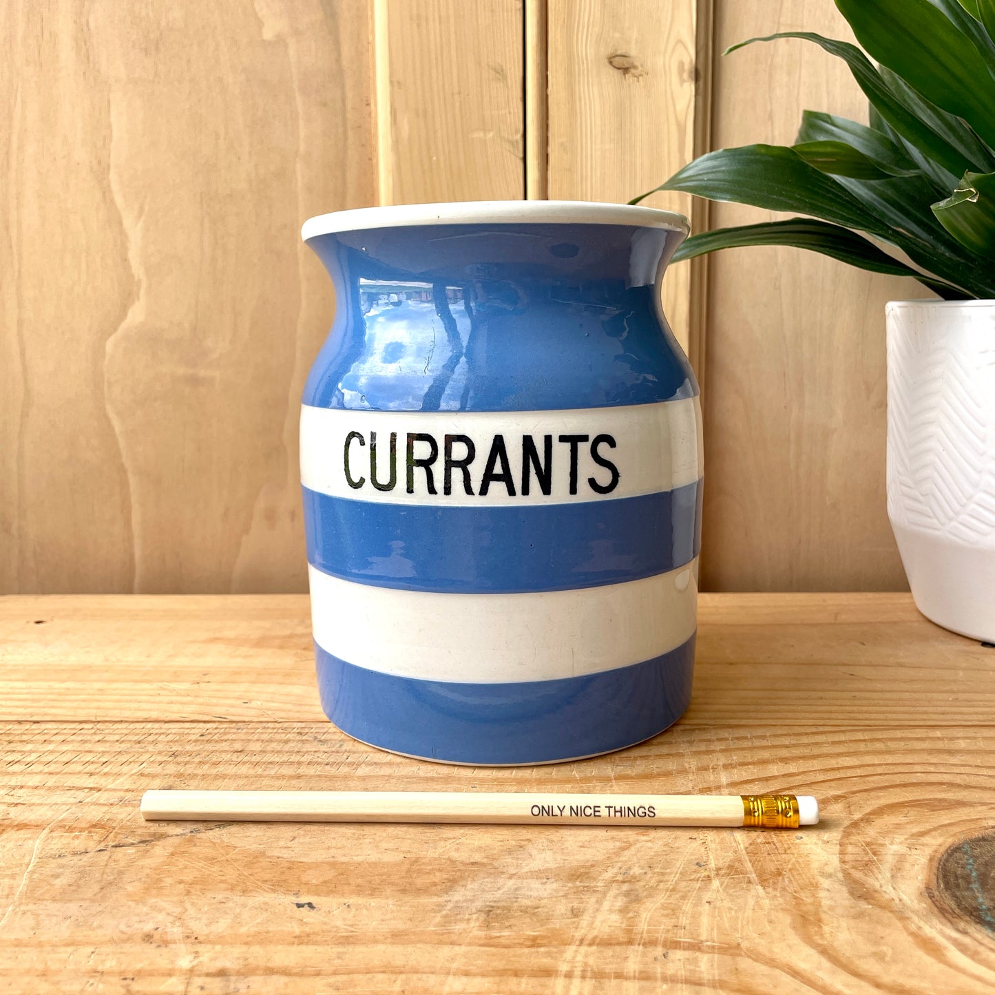 Vintage Large TG Green Blue and White Currants Canister