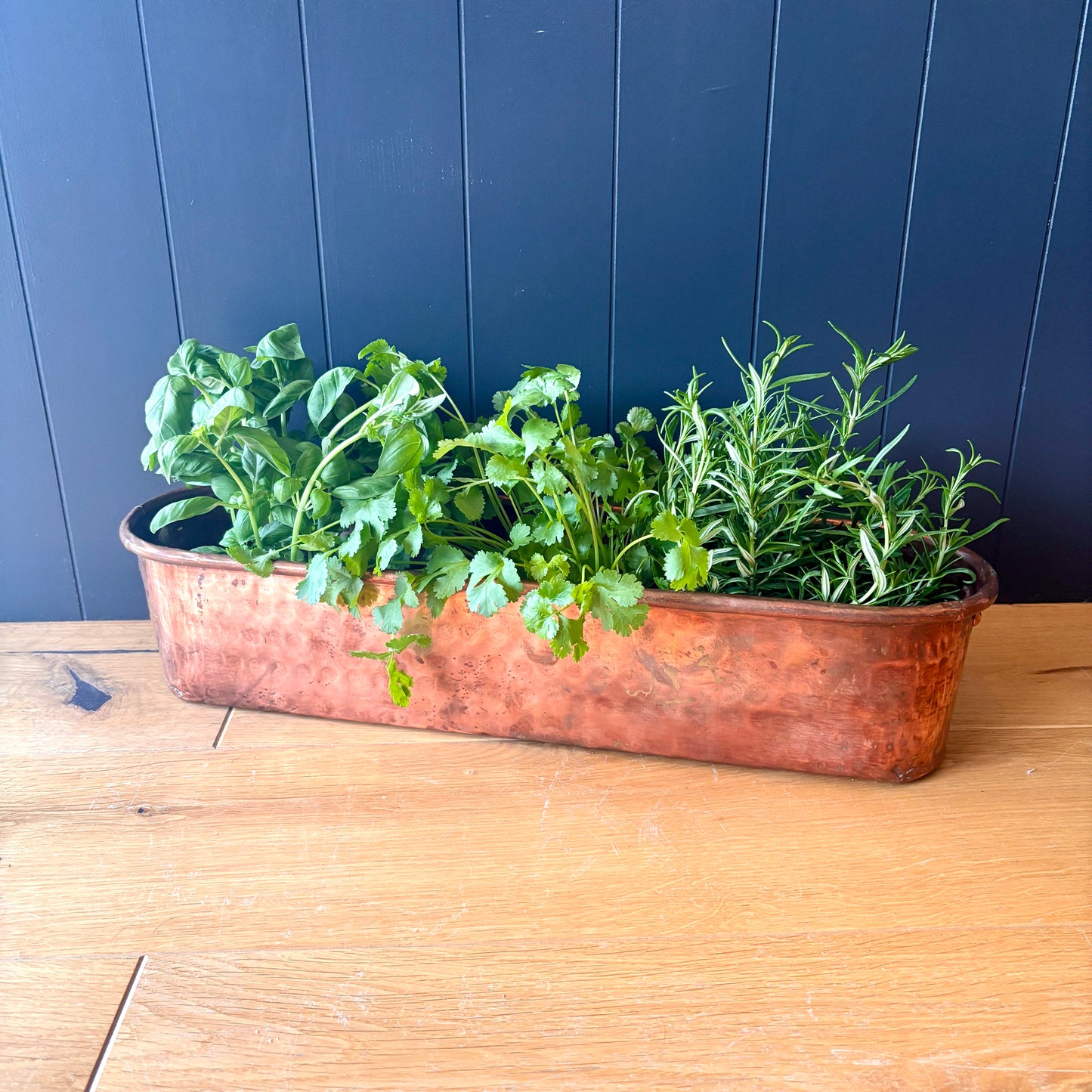 Vintage French Copper Trough Planter
