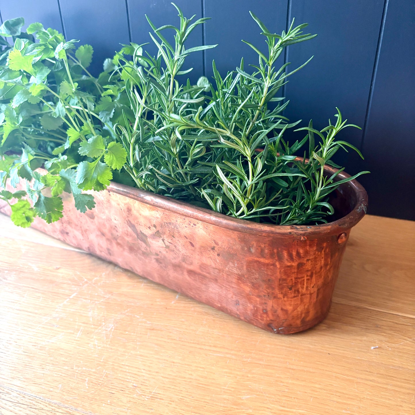 Vintage French Copper Trough Planter