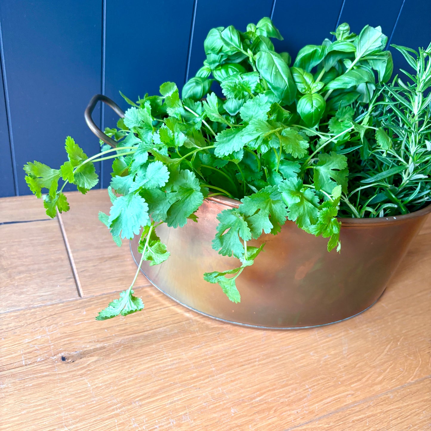 Vintage Copper Oval Handled Pan Planter