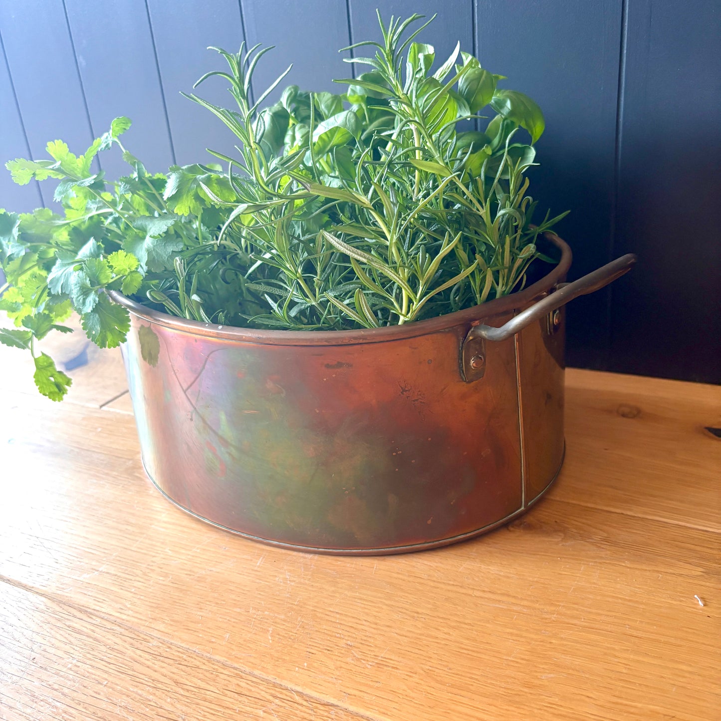 Vintage Copper Oval Handled Pan Planter