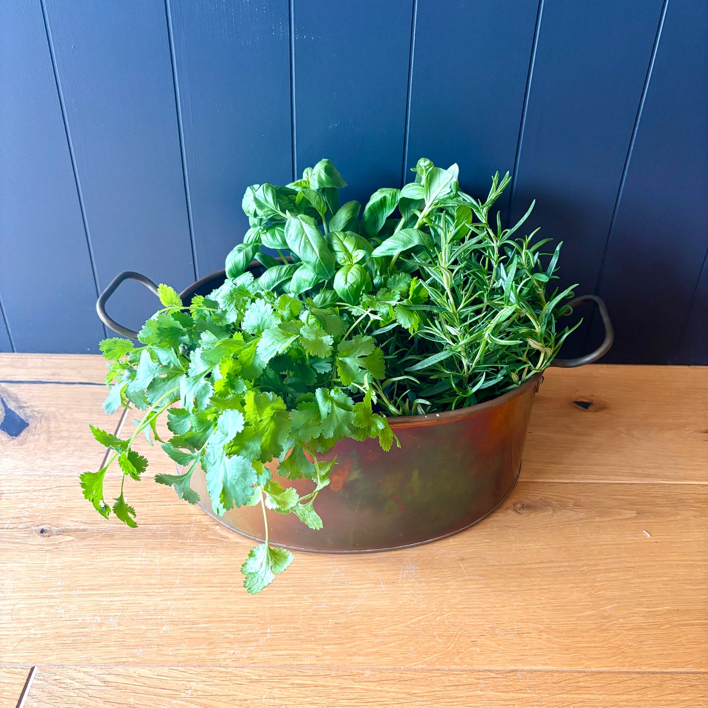 Vintage Copper Oval Handled Pan Planter